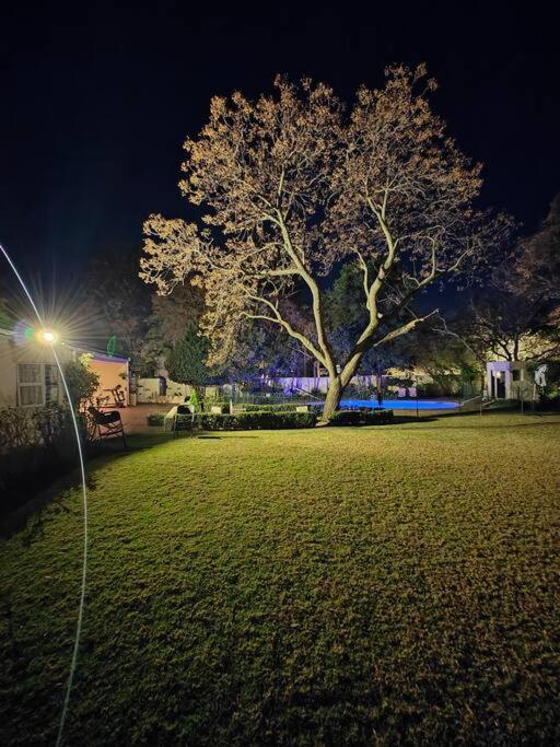 Blessed House Luxury into Nature in Sandton Apartment Home