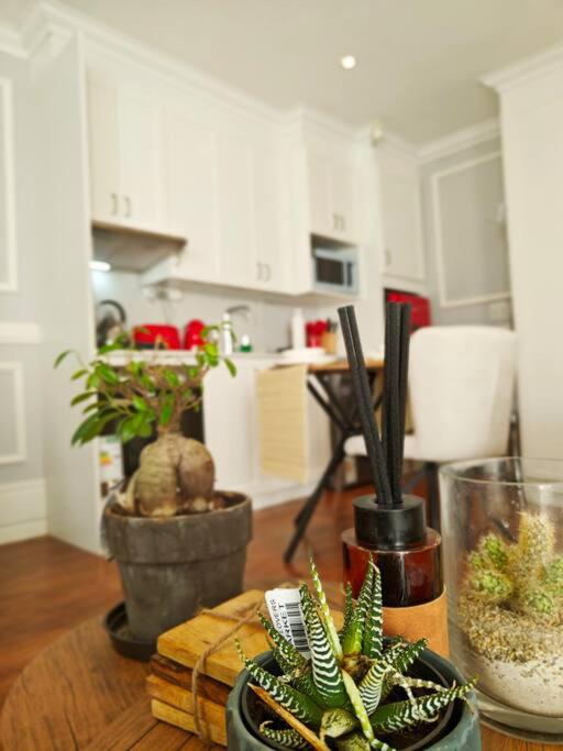 Blessed House Luxury into Nature in Sandton Apartment Home