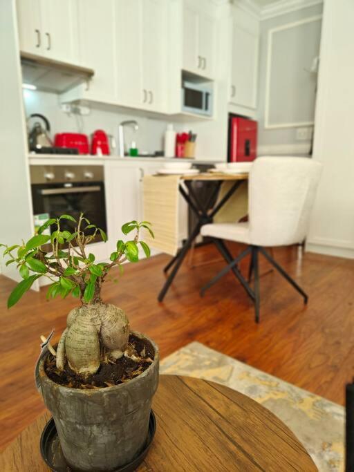 Blessed House Luxury into Nature in Sandton Apartment Home