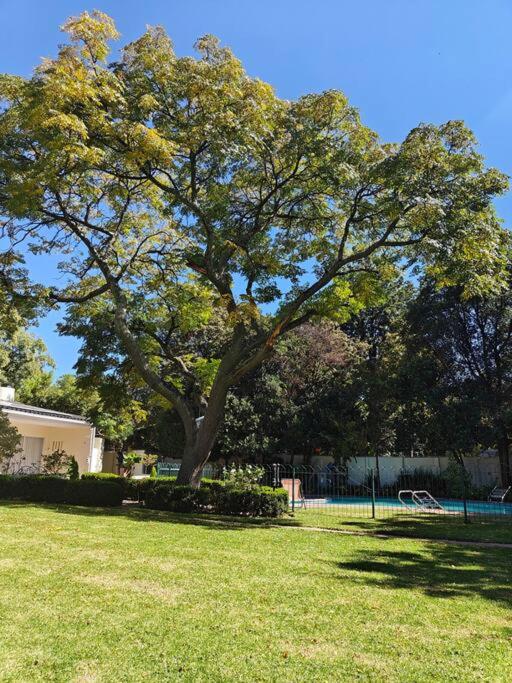 Blessed House Luxury into Nature in Sandton Apartment Home