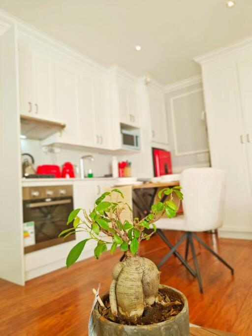 Blessed House Luxury into Nature in Sandton Apartment Home