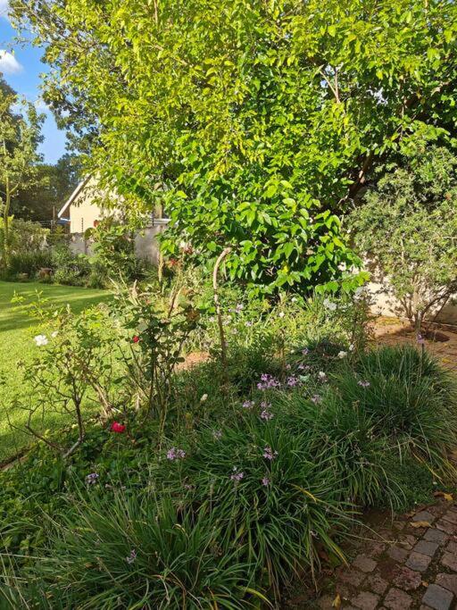 Blessed House Luxury into Nature in Sandton Apartment Home