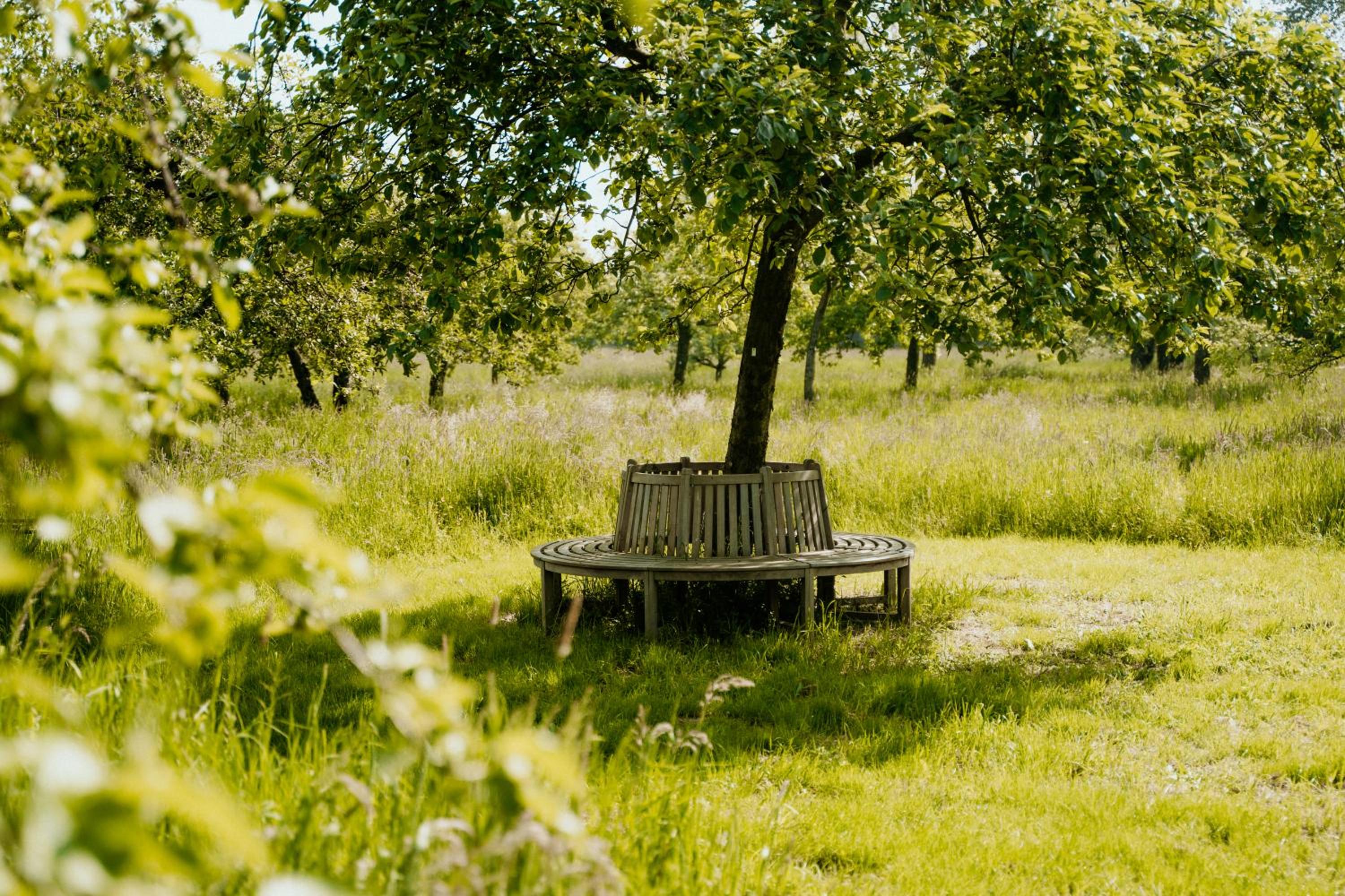 Photo 42