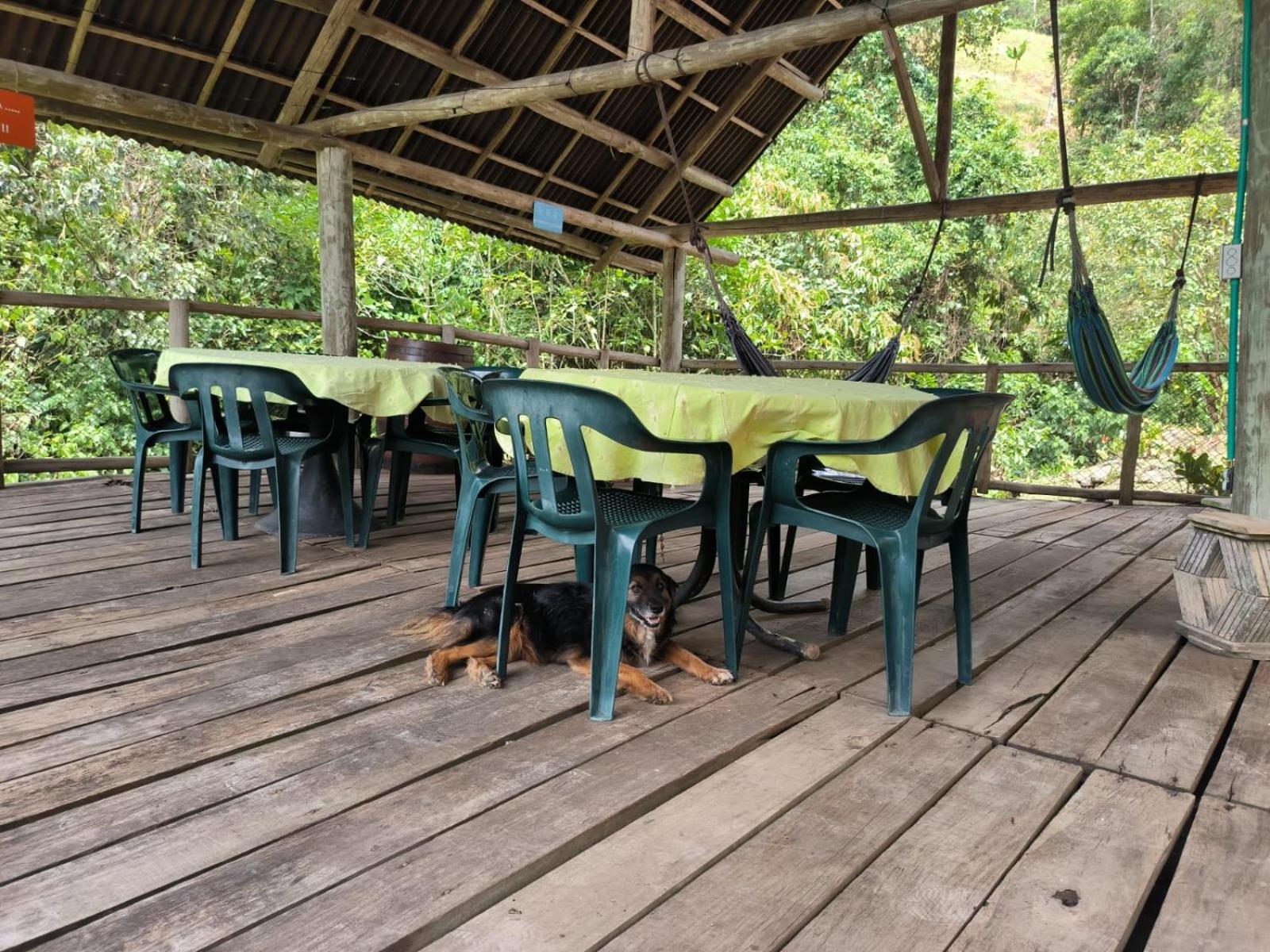 Agradable casa entera de campo para descansar