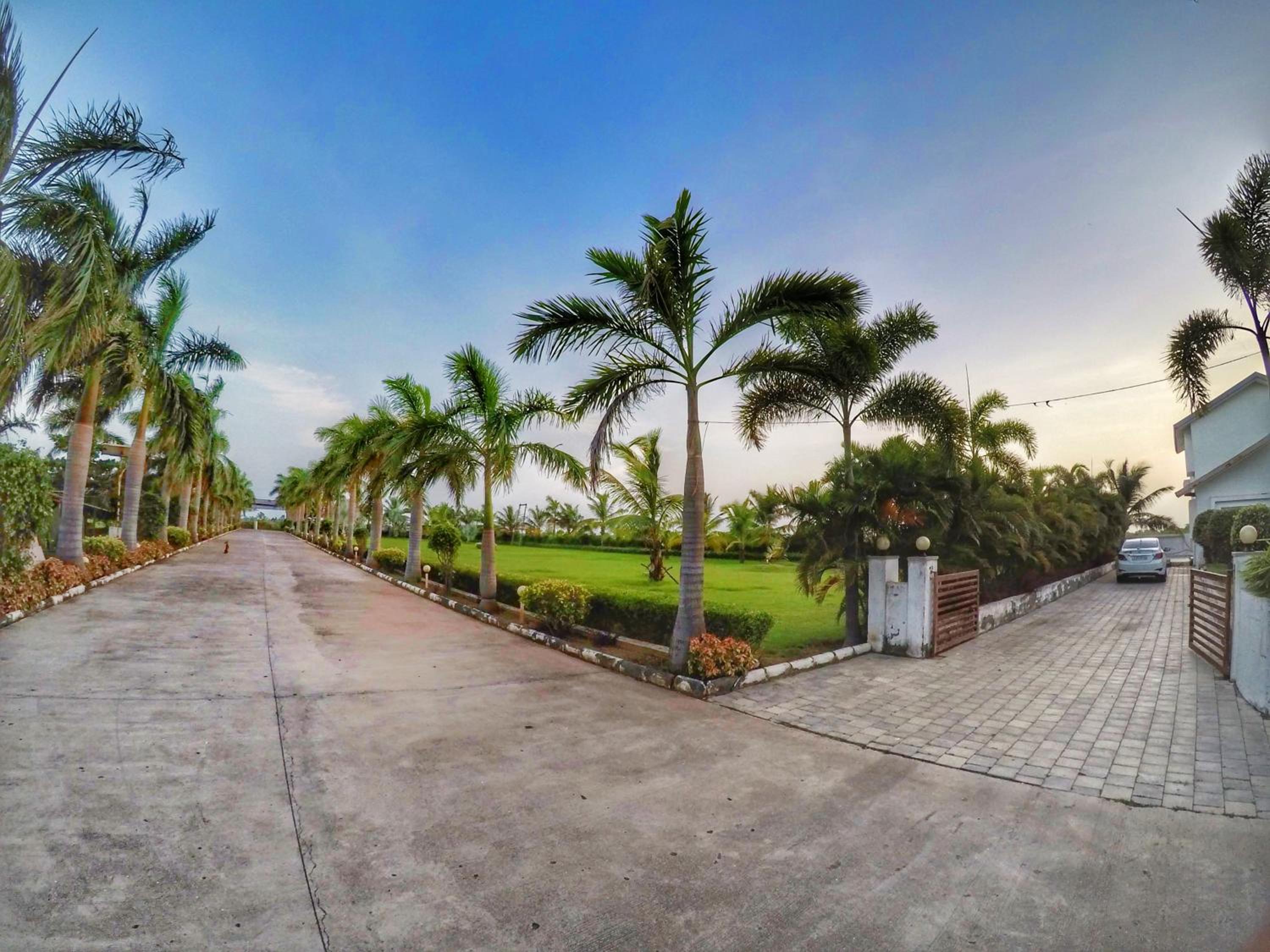 Palm Riviera view 2