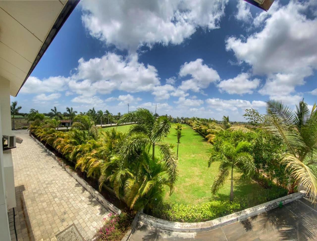 Palm Riviera view 5