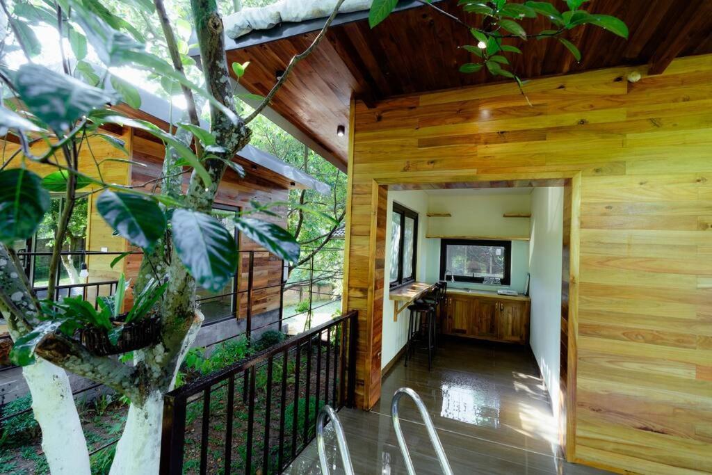 Dứa house