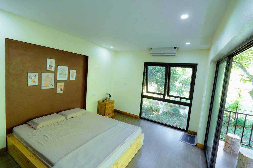 Dứa house