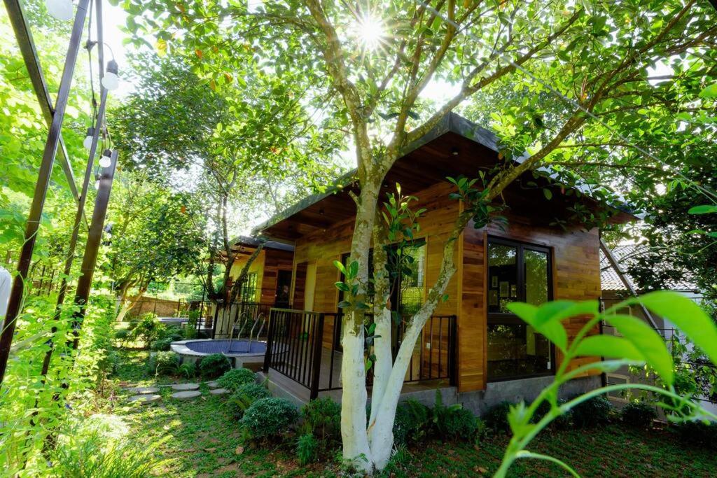 Dứa house