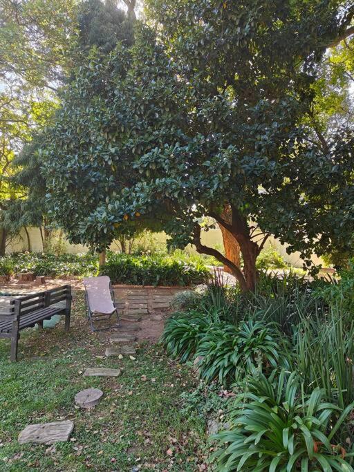 Blessed Luxury Cottage into Nature in Sandton Apartment in Sandton