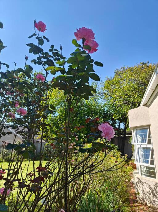 Blessed Luxury Cottage into Nature in Sandton Apartment in Sandton