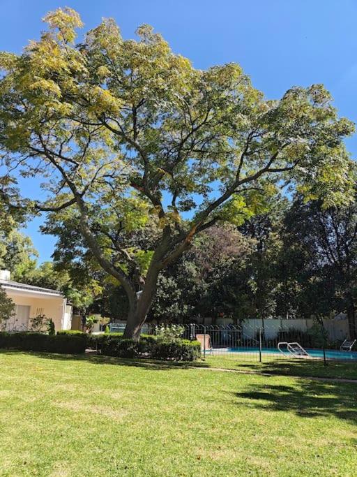 Blessed Luxury Cottage into Nature in Sandton Apartment in Sandton