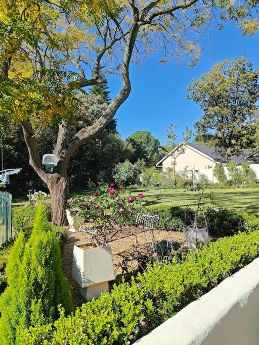 Blessed Luxury Cottage into Nature in Sandton Apartment in Sandton