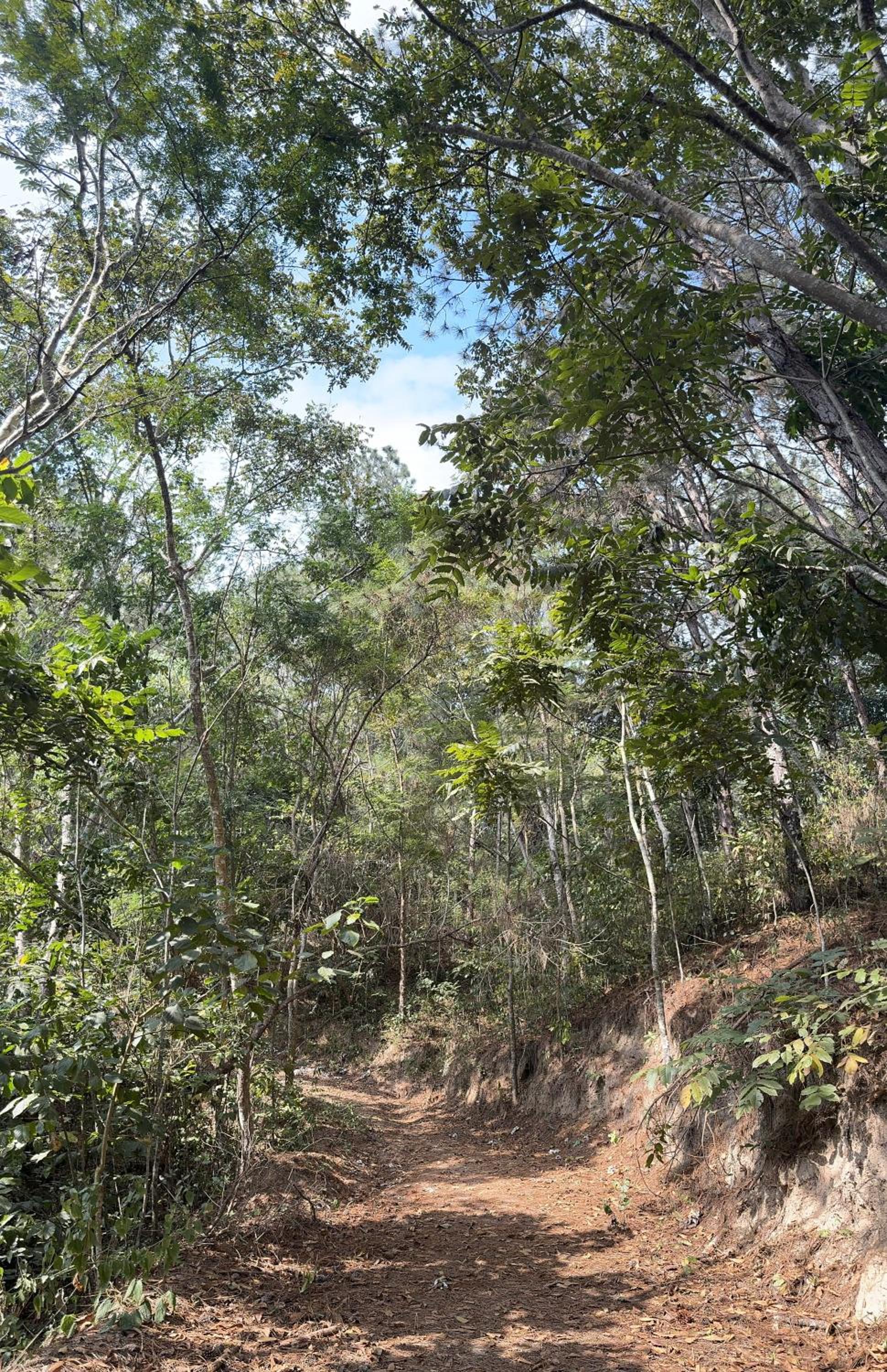 Guararema Parque Hotel