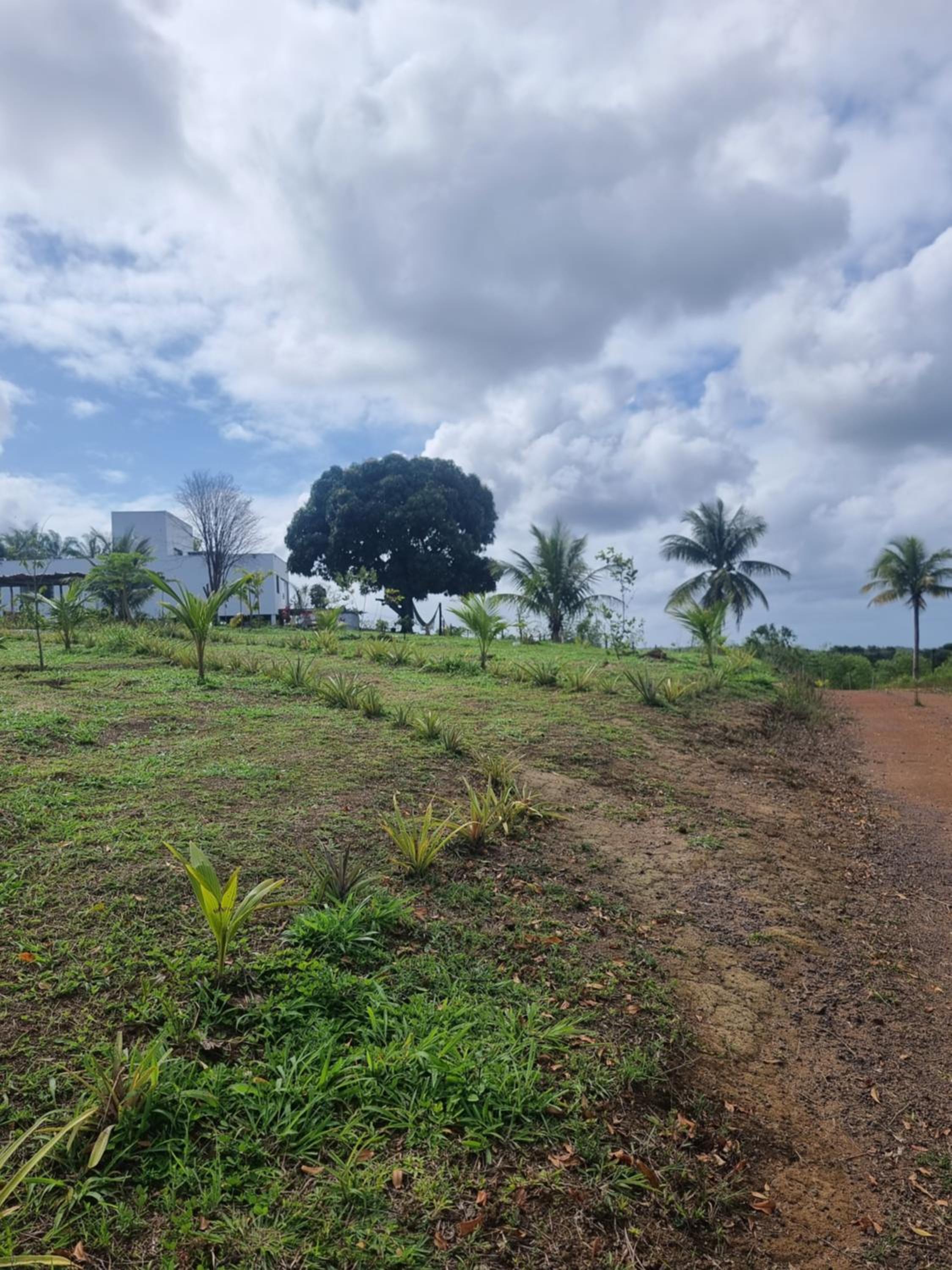Fazenda de Jehne - Casa completa