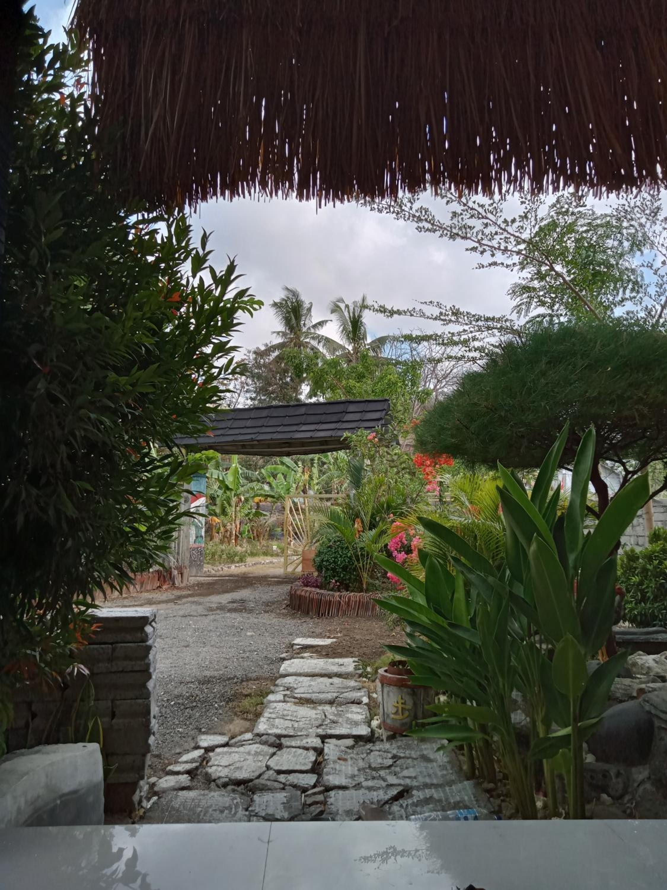 BALE oyan view 4