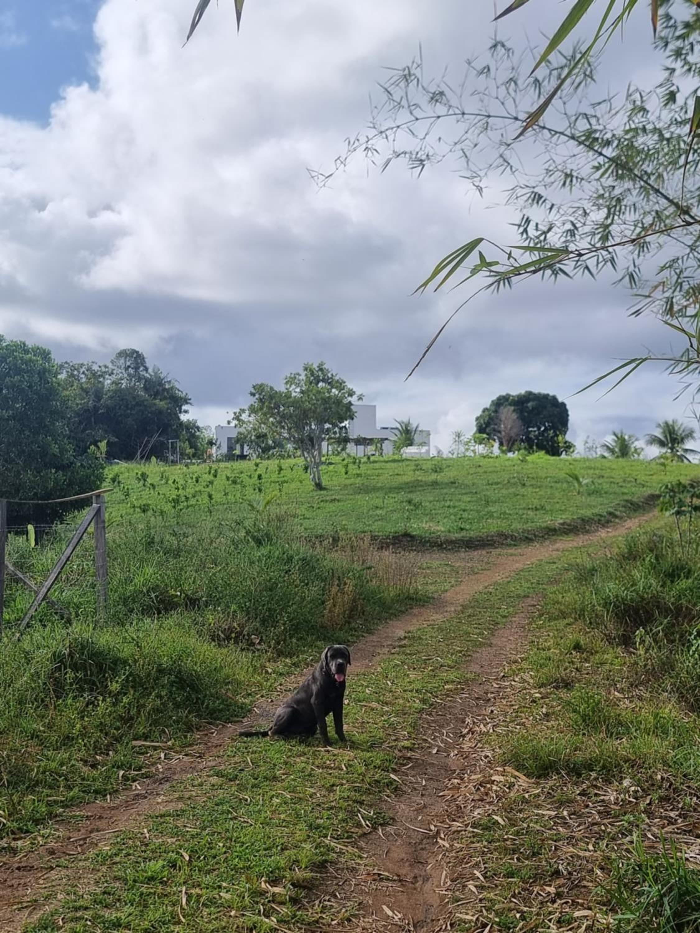 Fazenda de Jehne