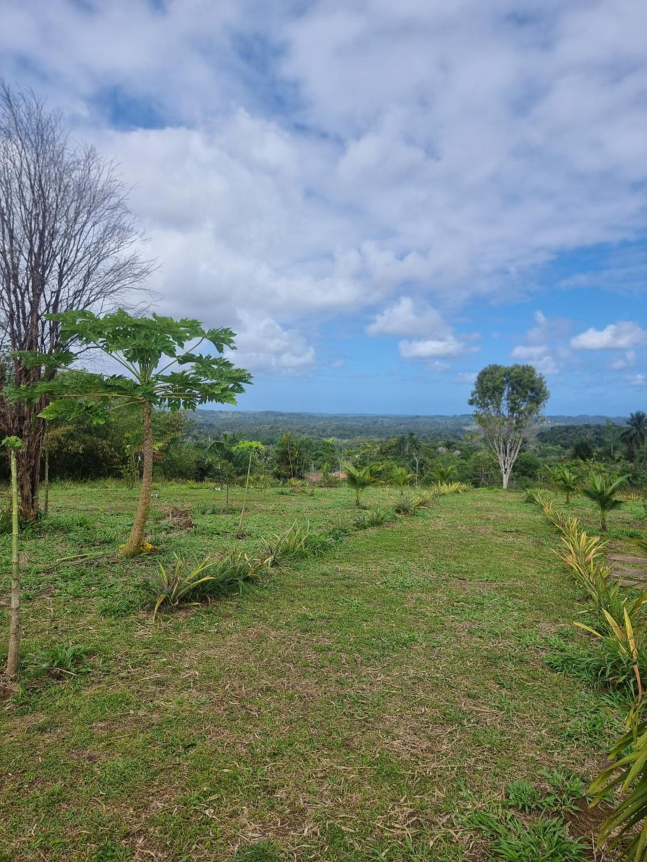 Fazenda de Jehne