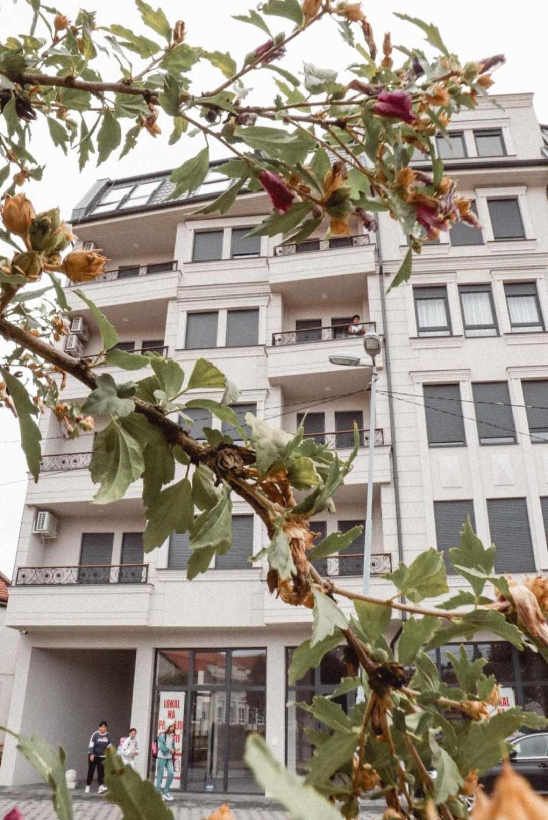 Apartman Anika