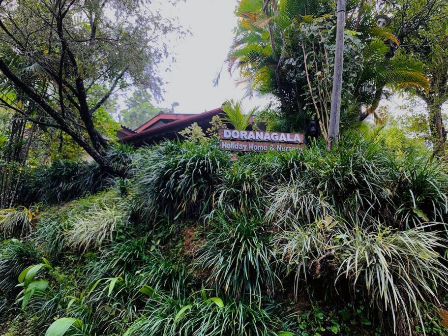 Doranagala Holiday Home view 2