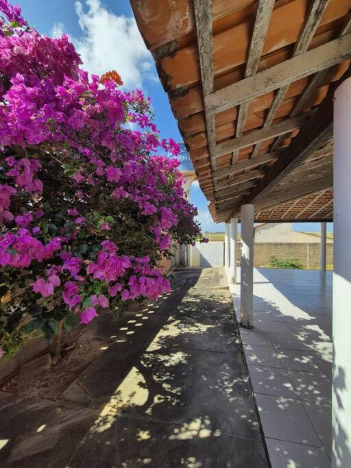 Casa azul, Coqueiro - PI