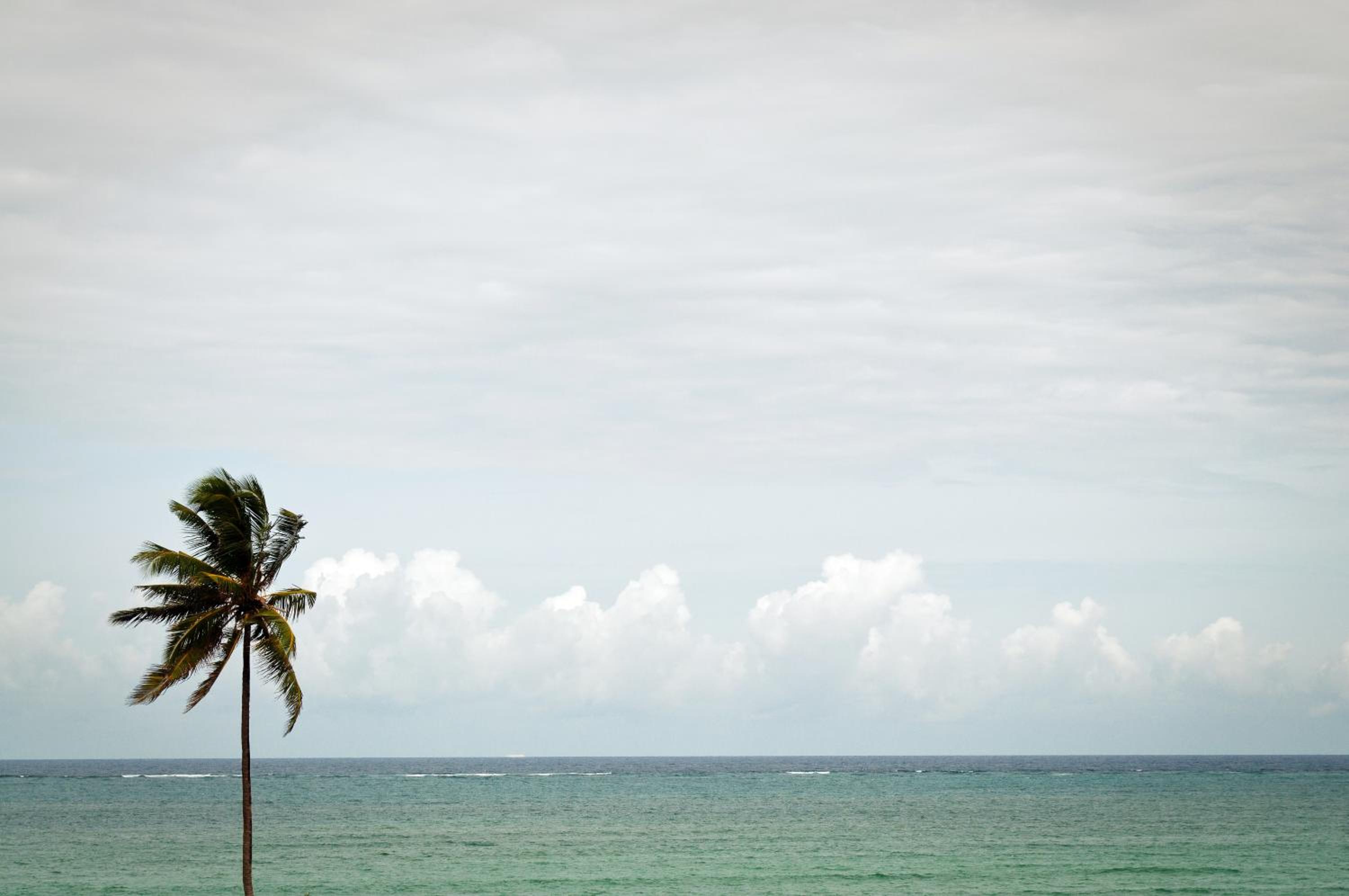 Azul Margarita Beach Resort view 5