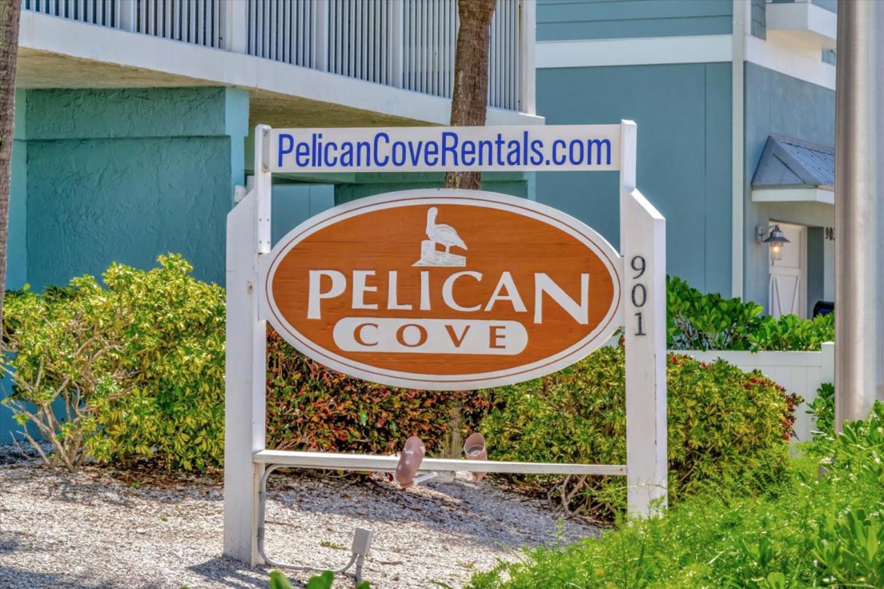 Cheerful Pelican on Anna Maria Island view 5