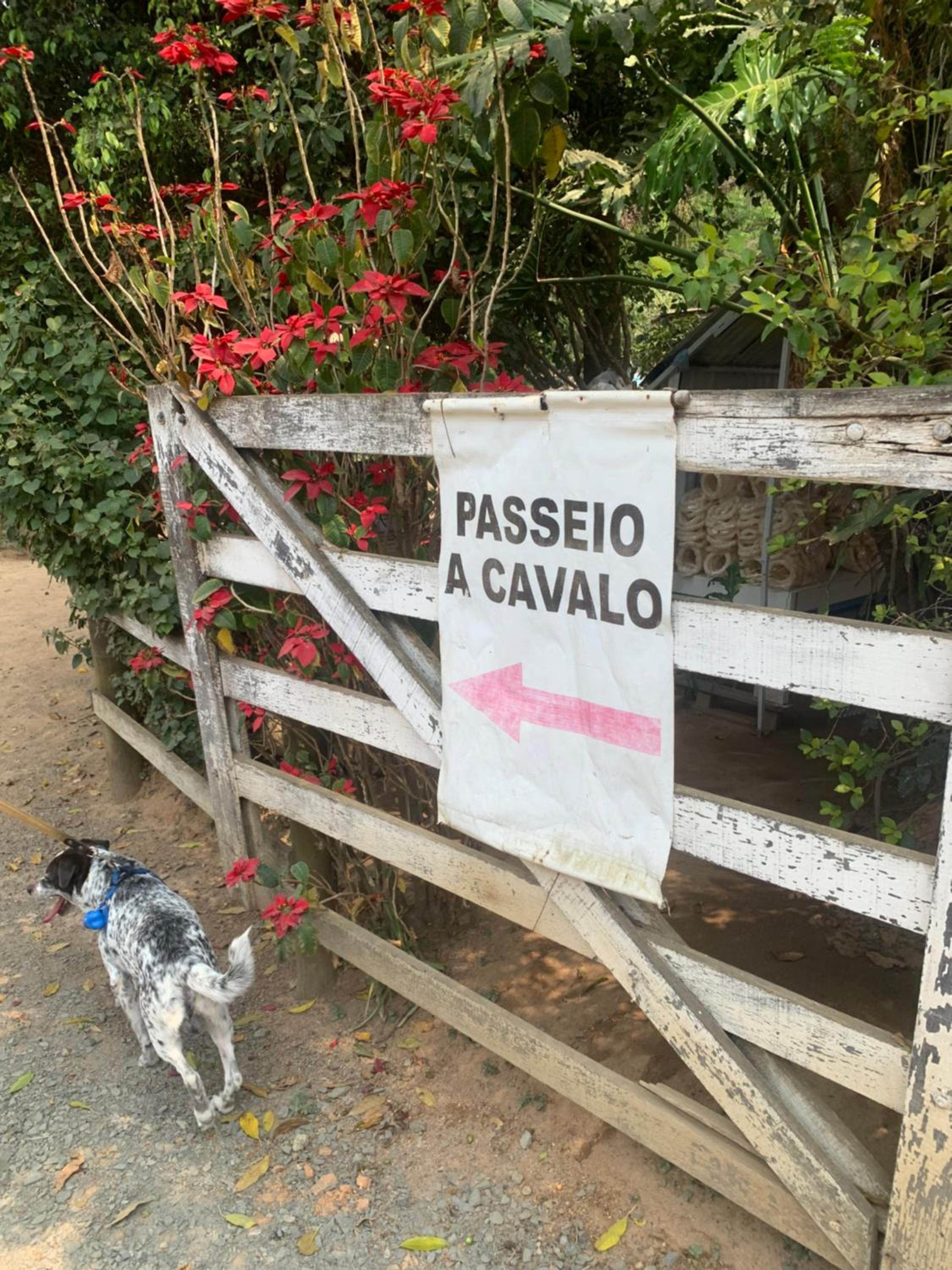 Chalé na Mata Colinas do Ermitage