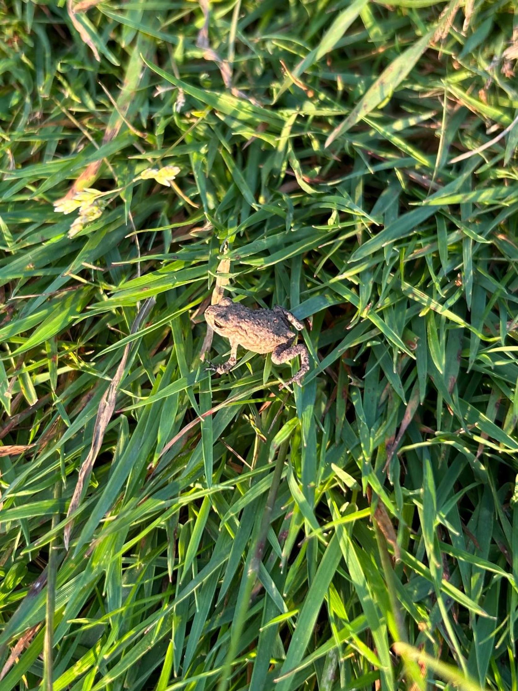Photo 49
