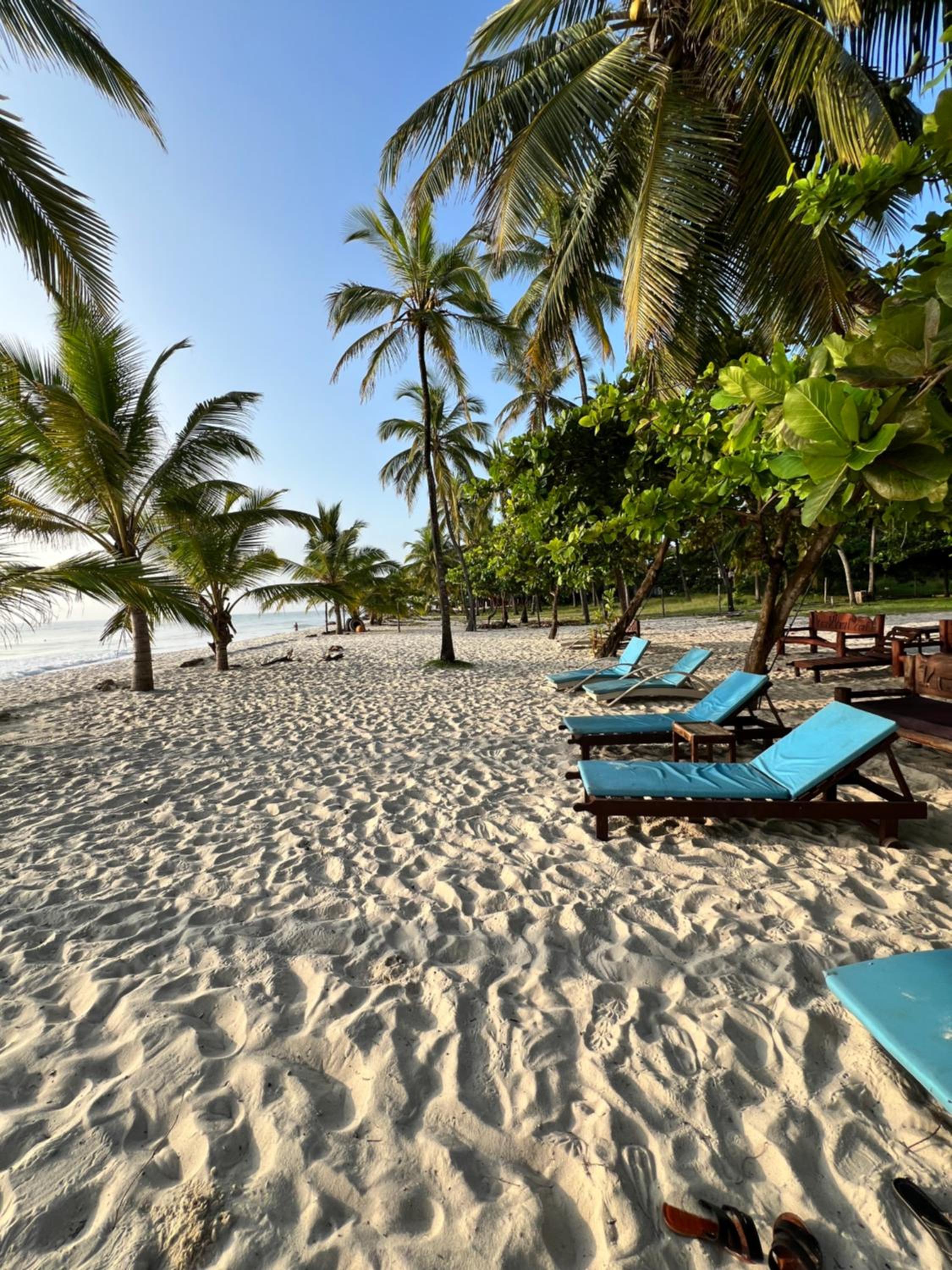 Golden Beachfront Studios view 3