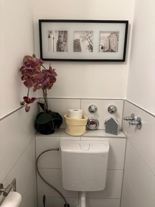 Ruhige Stadtperle mit Garten