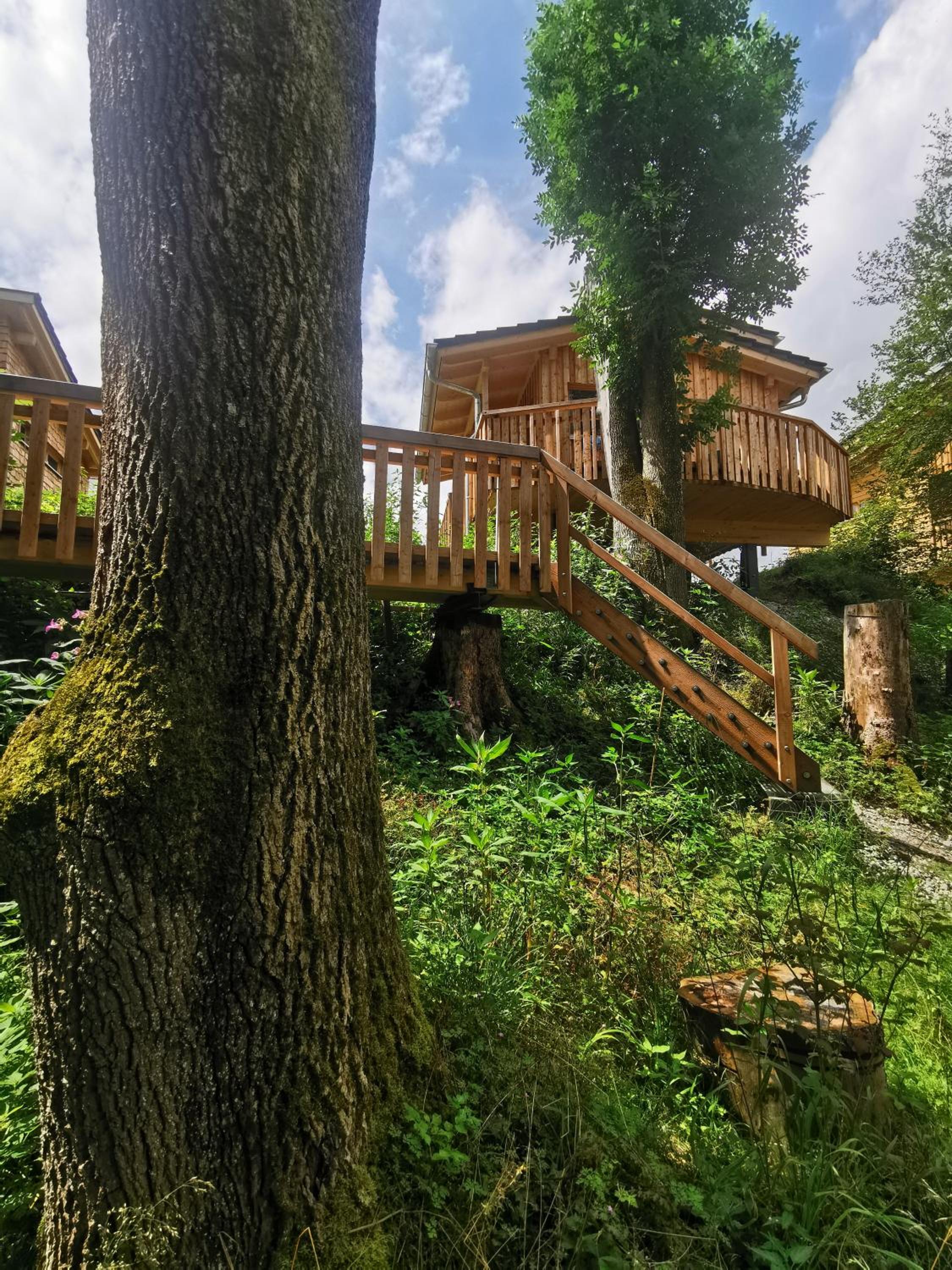 Wald ist Zukunft