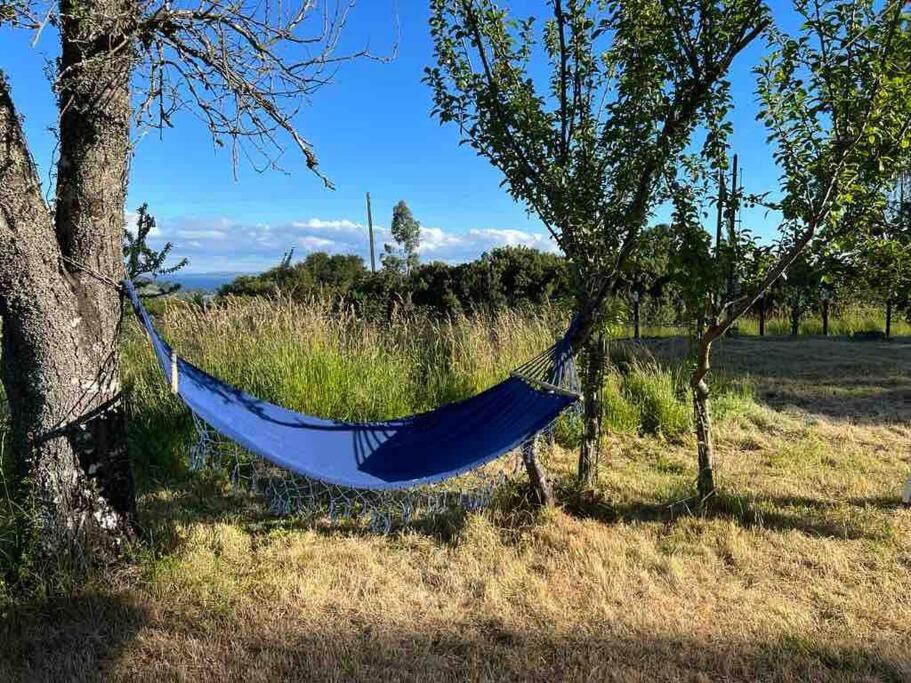 Cabaña Los Alamos