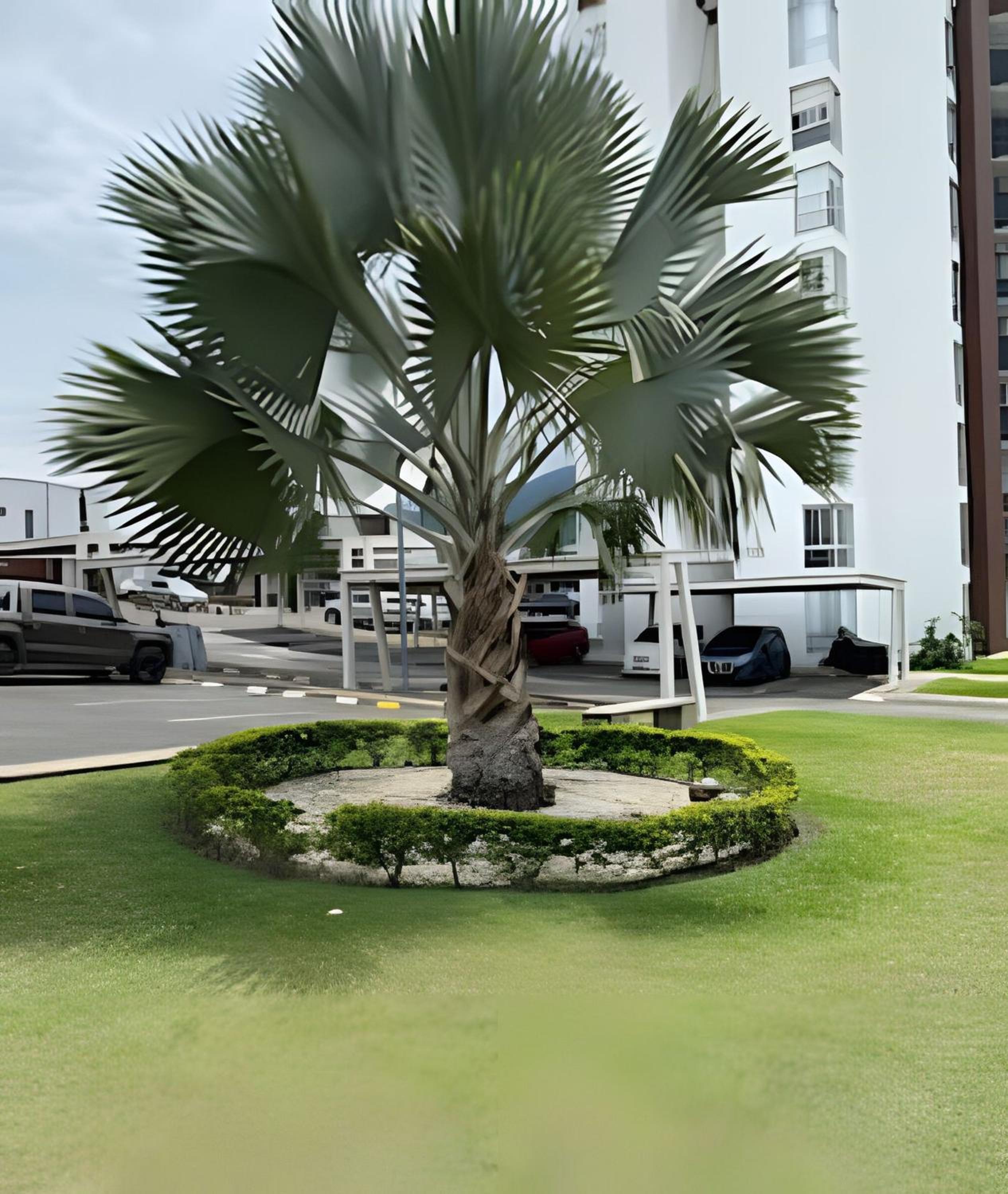 La vida es Bella! apartamento cerca al centro 1401