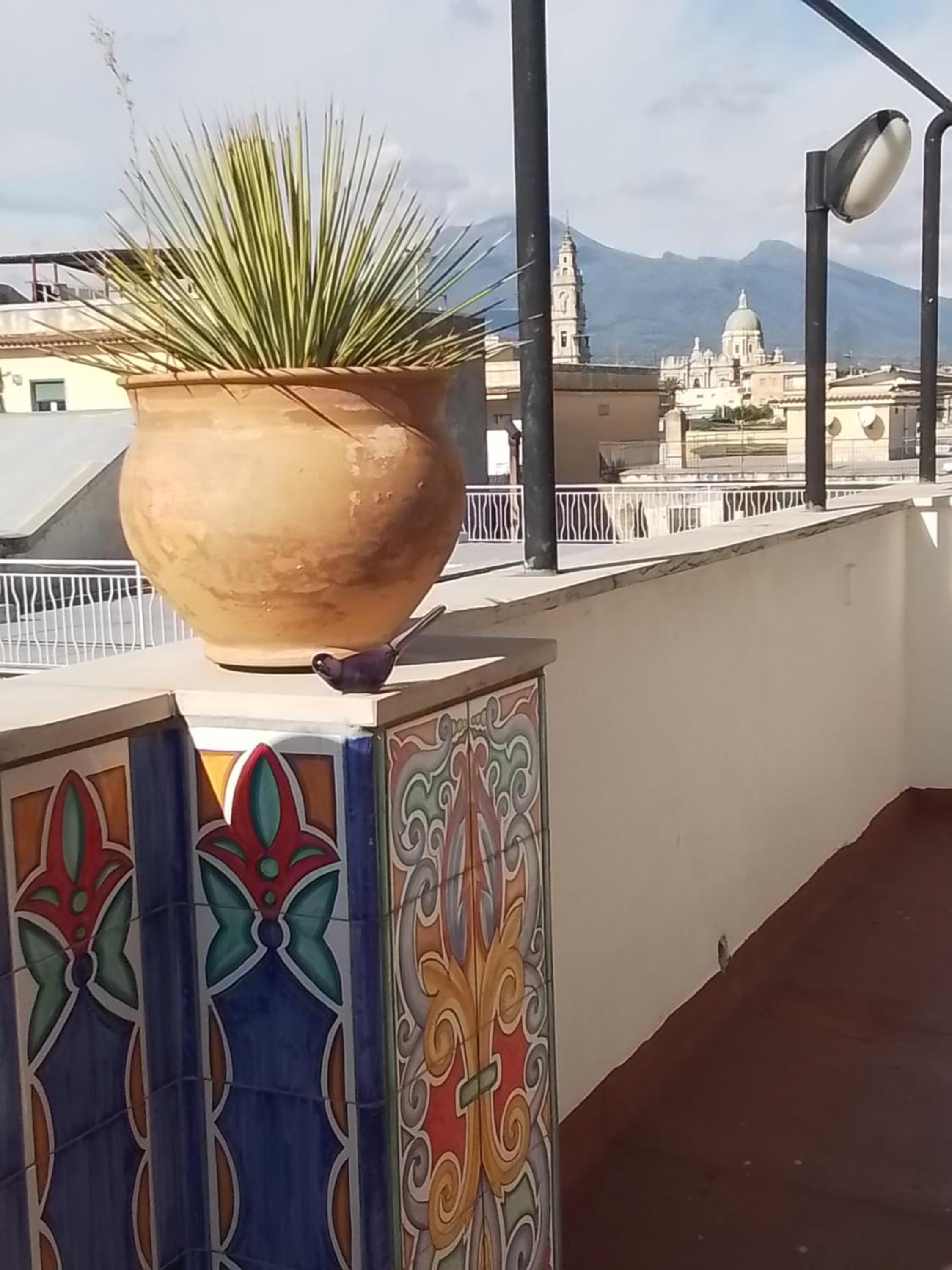 Urban Home