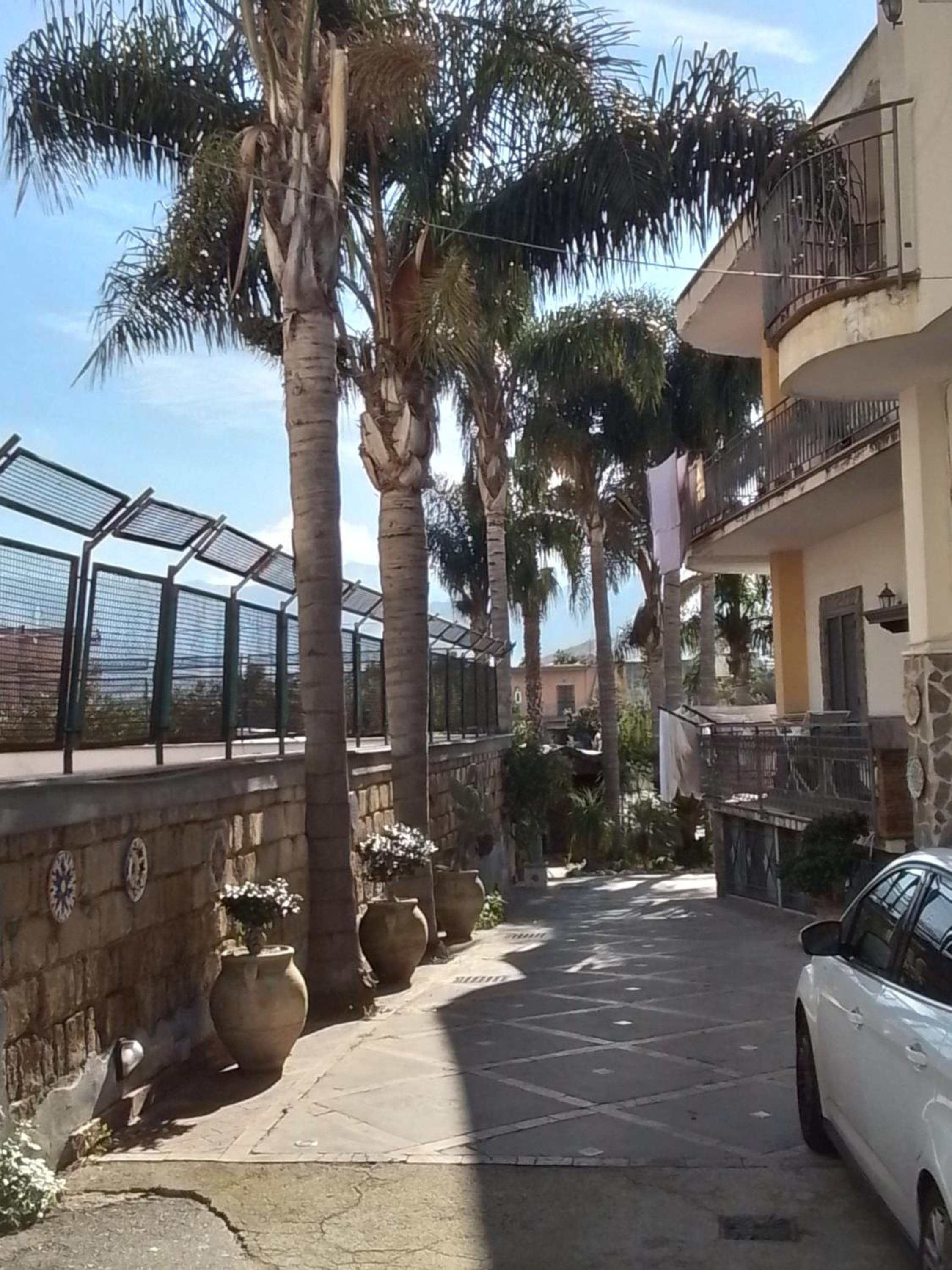 Urban Home