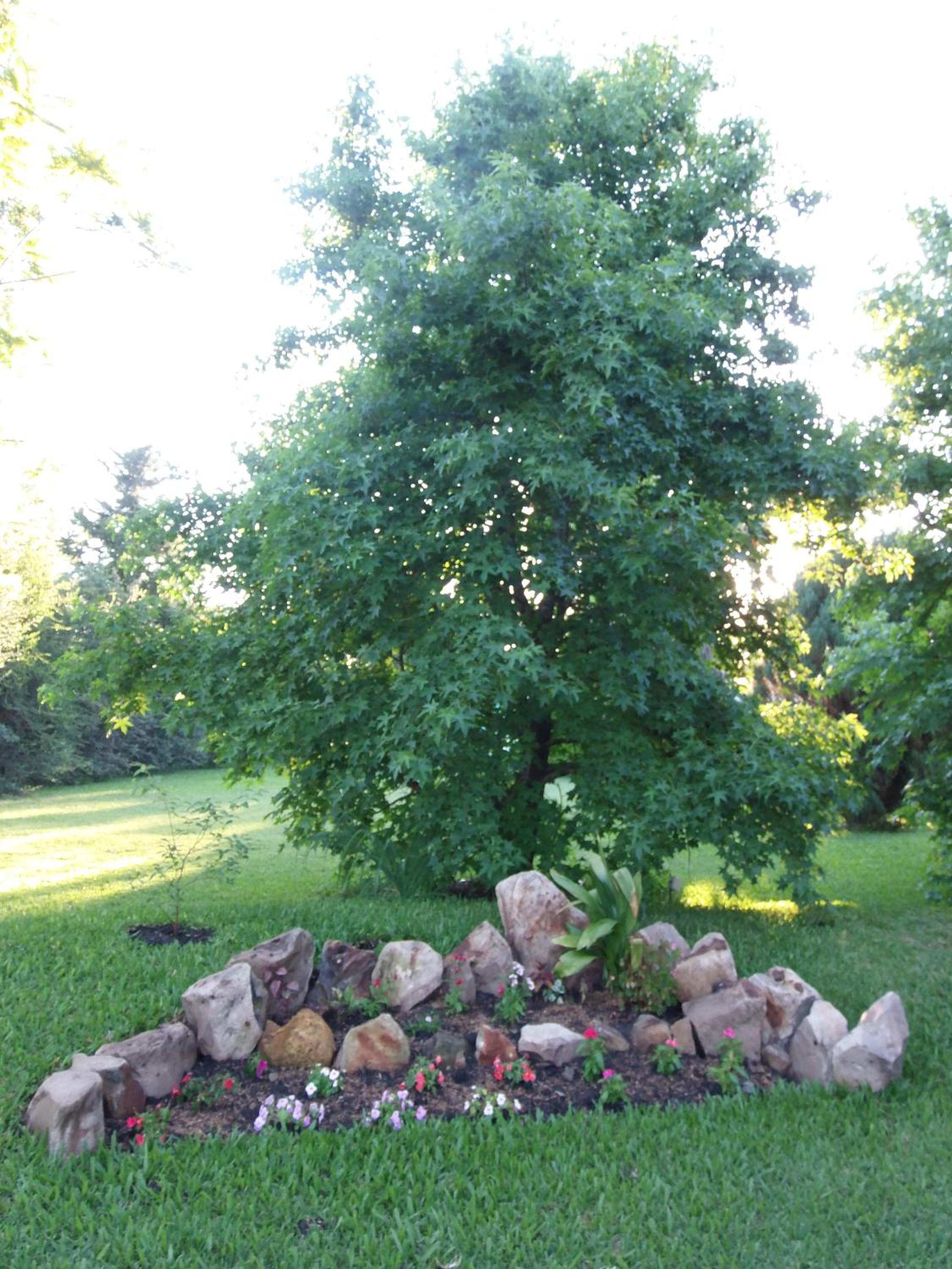 Photo 24