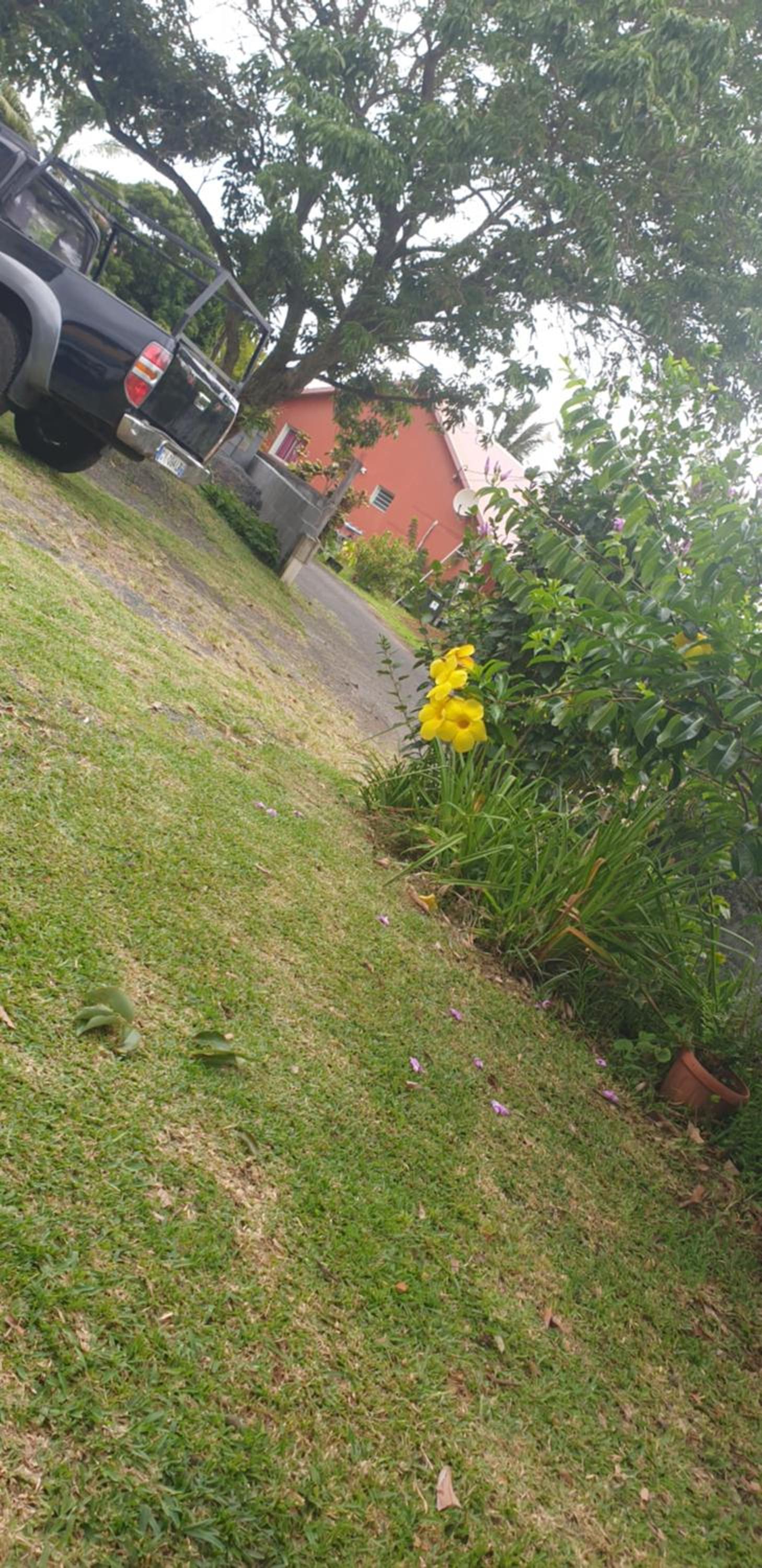 Vacoas