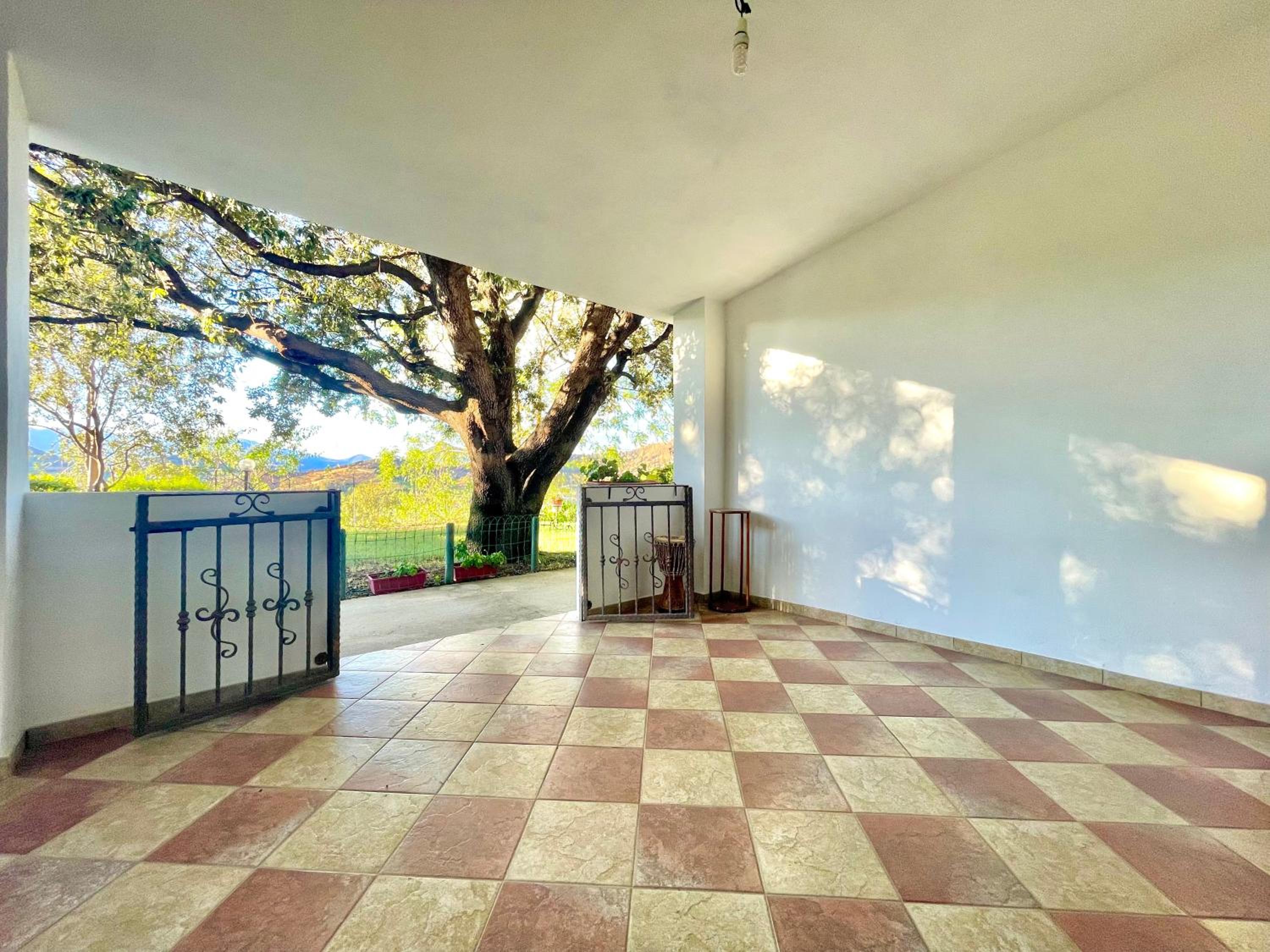 Panorama Apartment