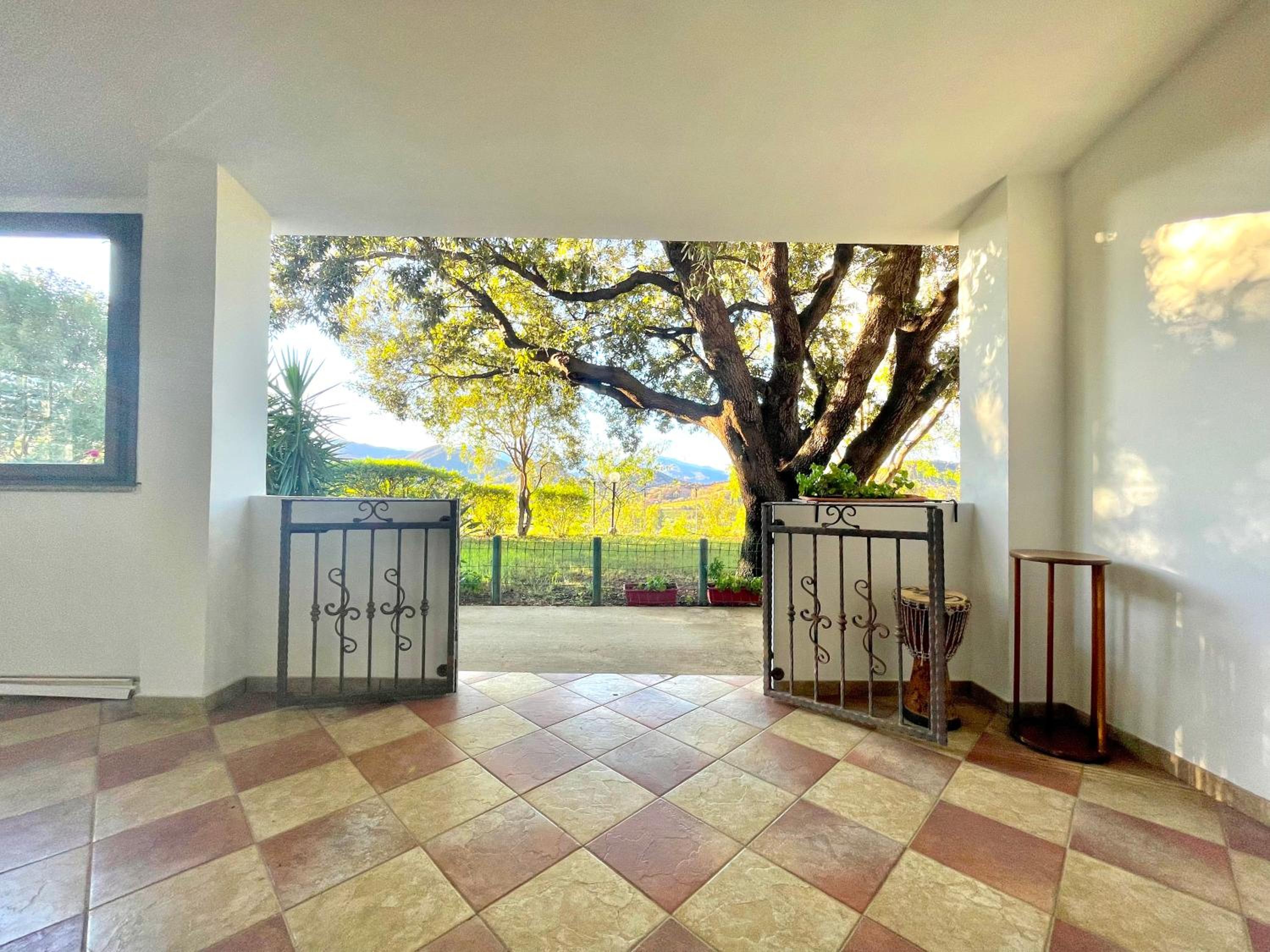 Panorama Apartment