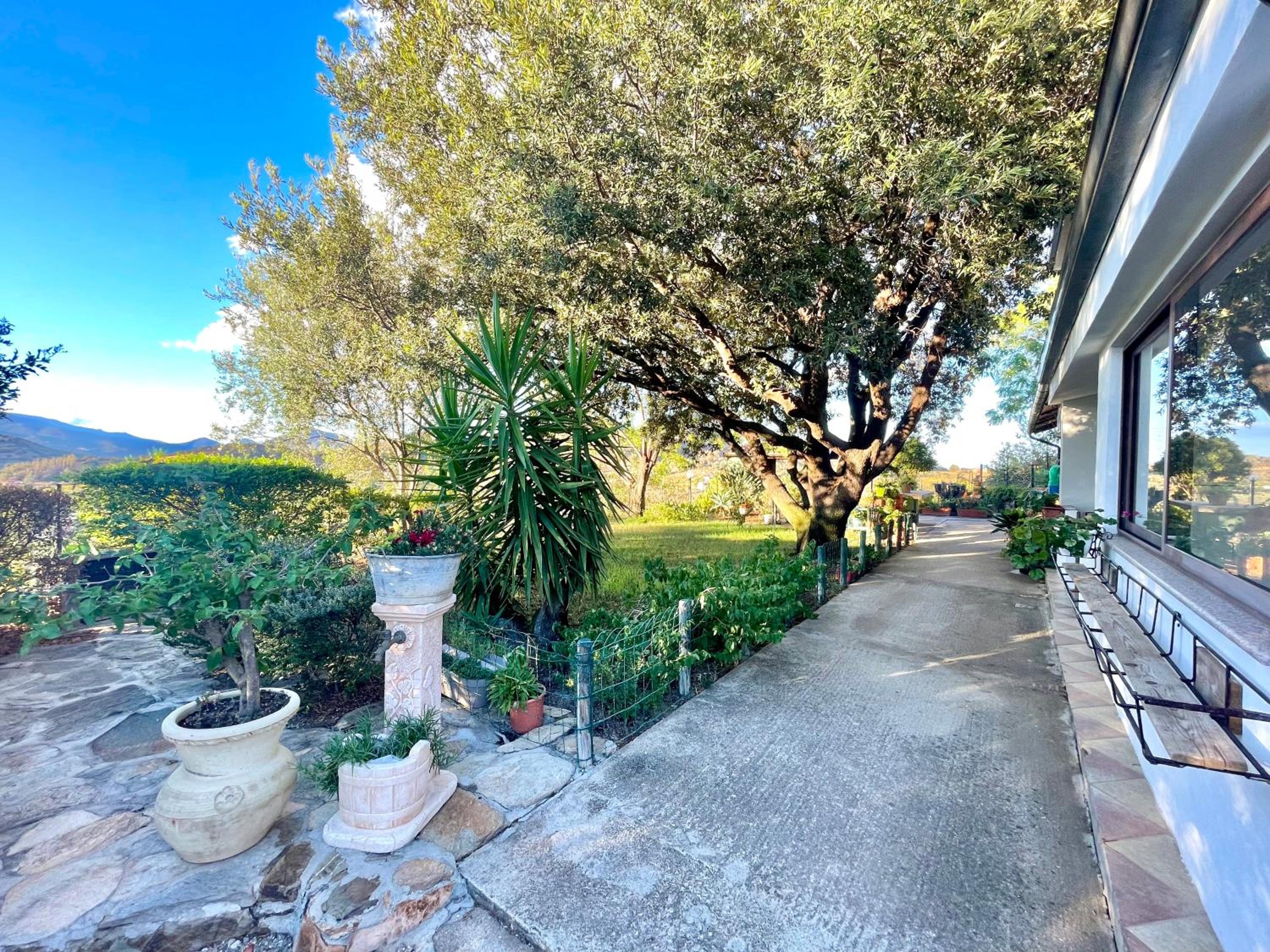 Panorama Apartment