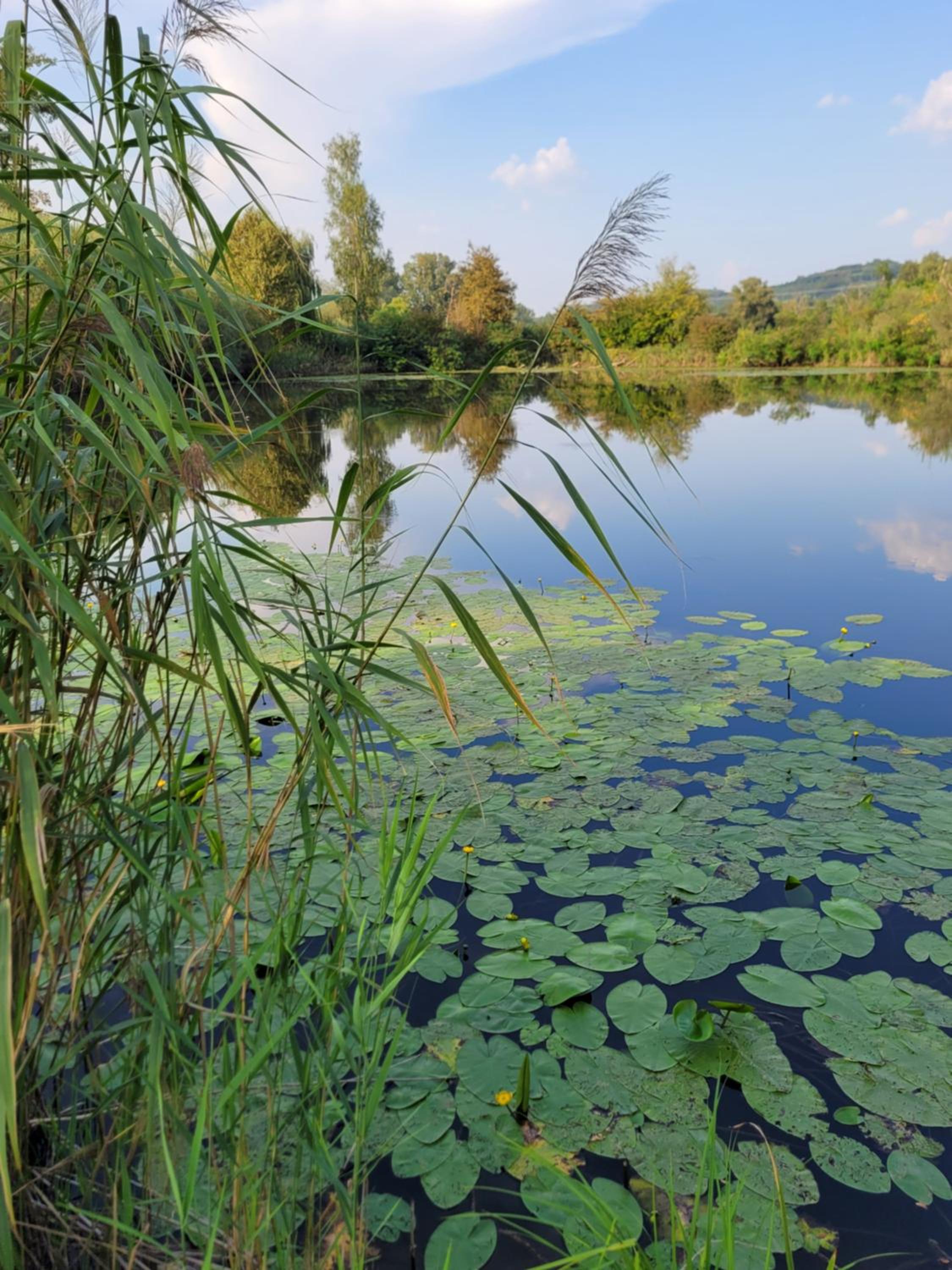 Domek Manipura-ogród,spokój,natura