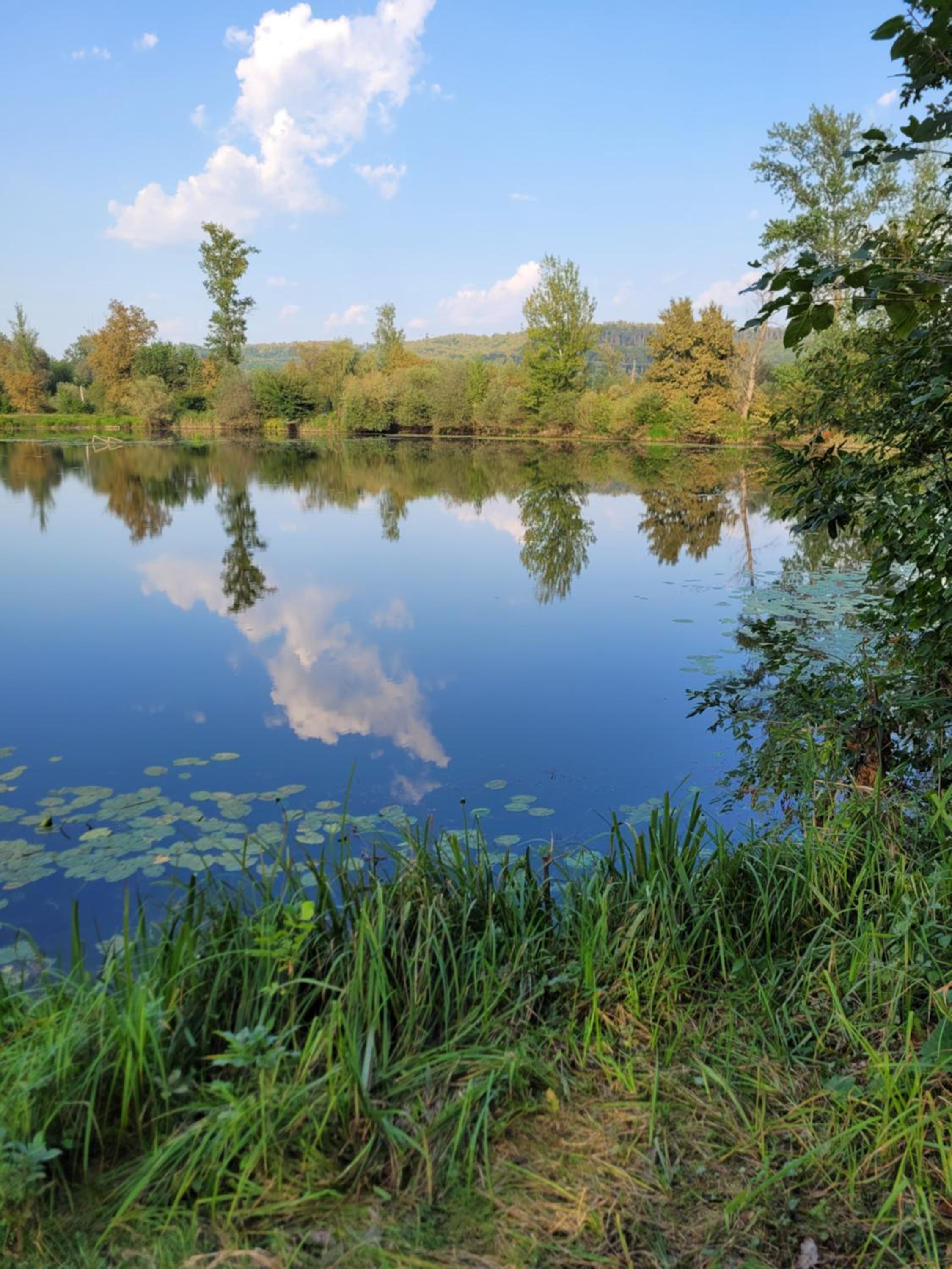 Domek Manipura-ogród,spokój,natura