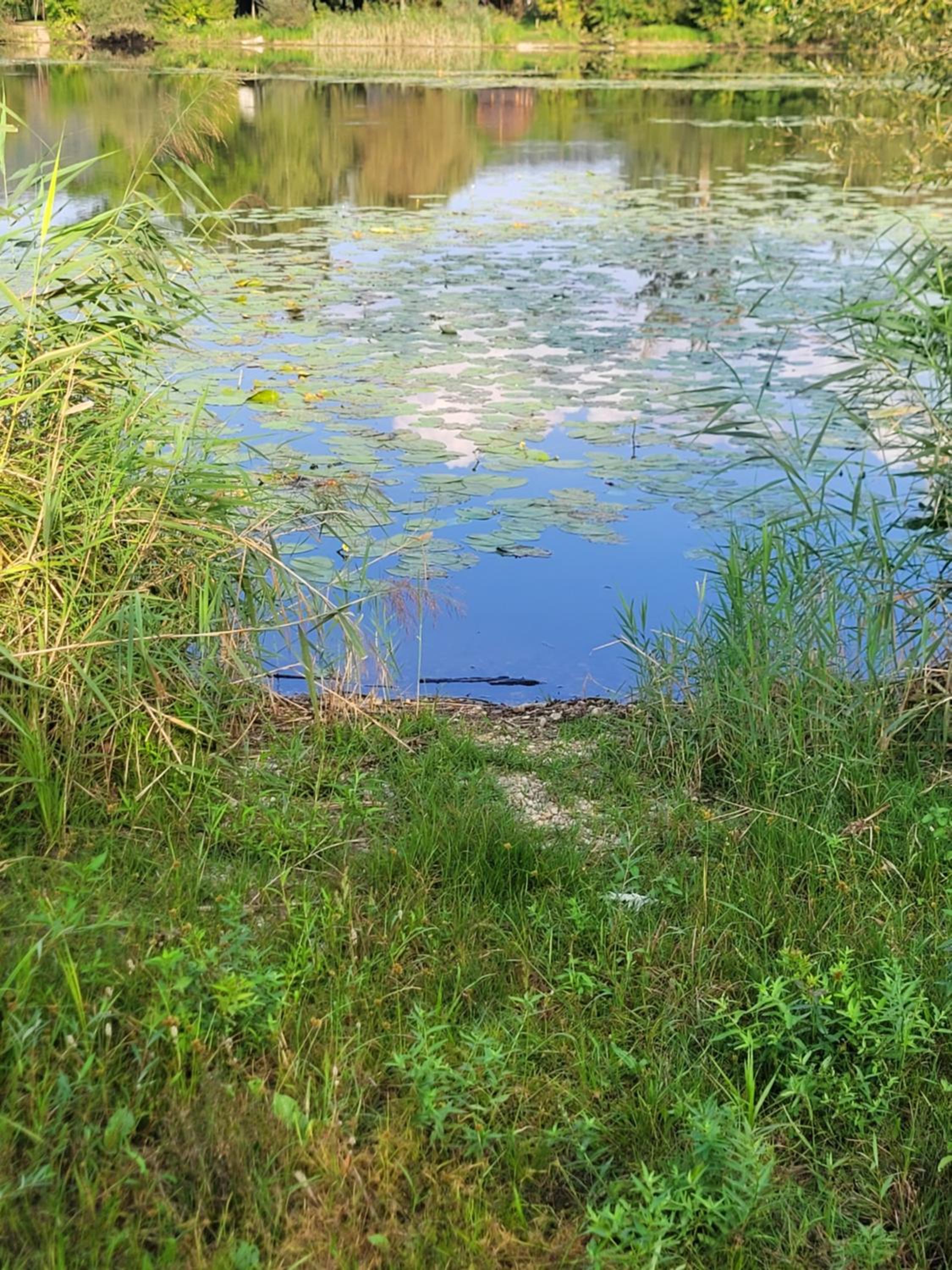 Domek Manipura-ogród,spokój,natura
