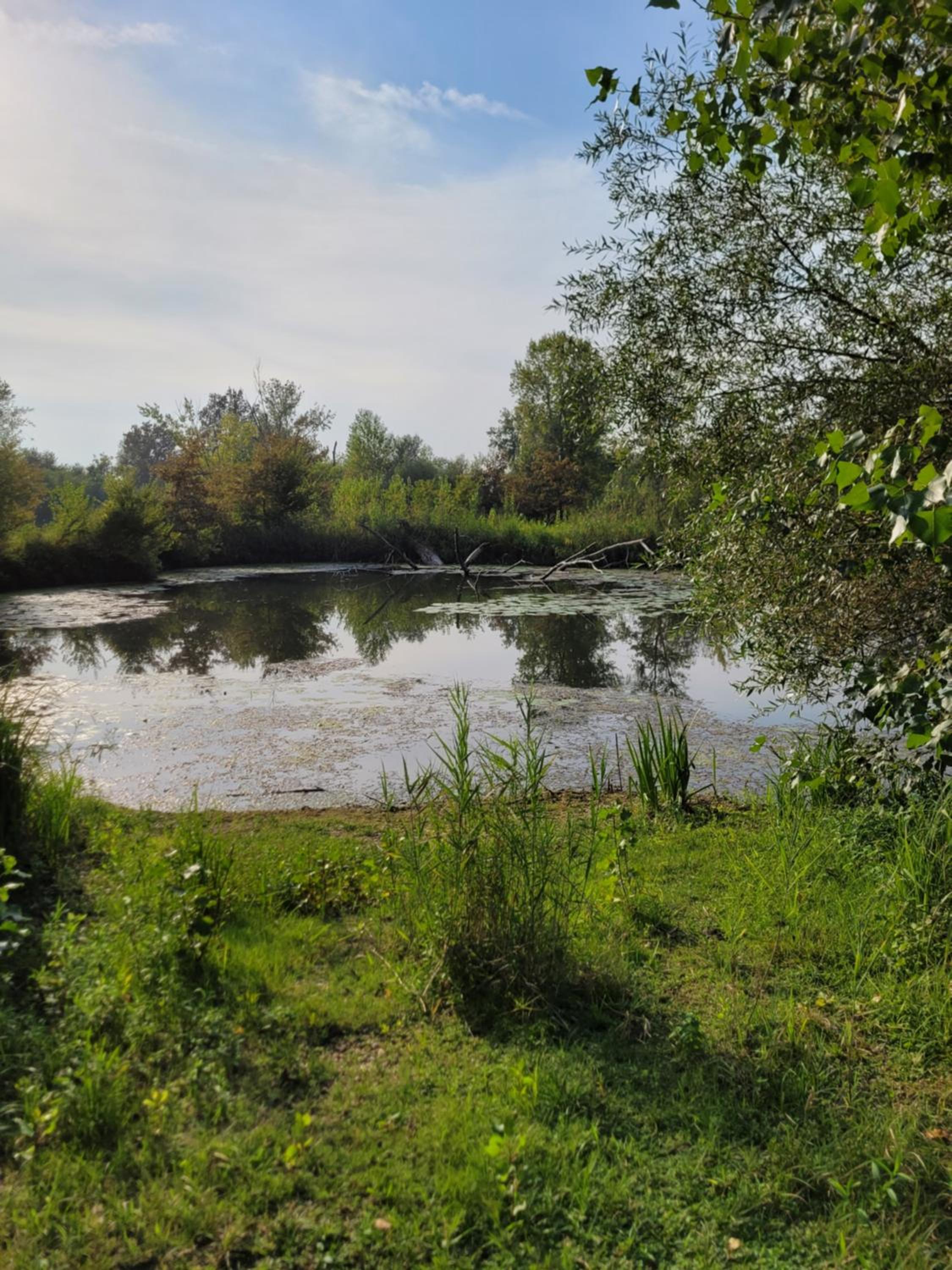 Domek Manipura-ogród,spokój,natura