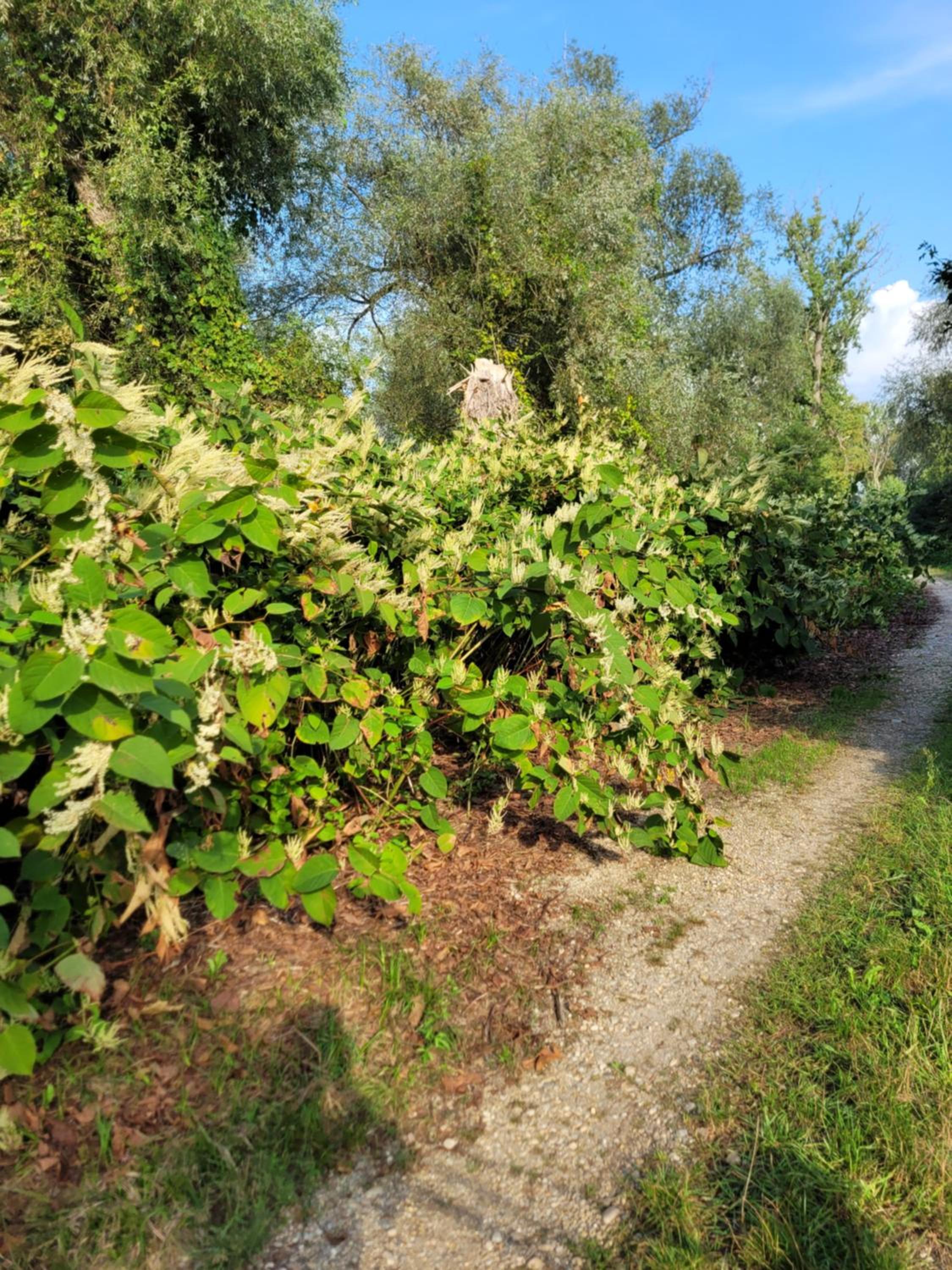 Domek Manipura-ogród,spokój,natura