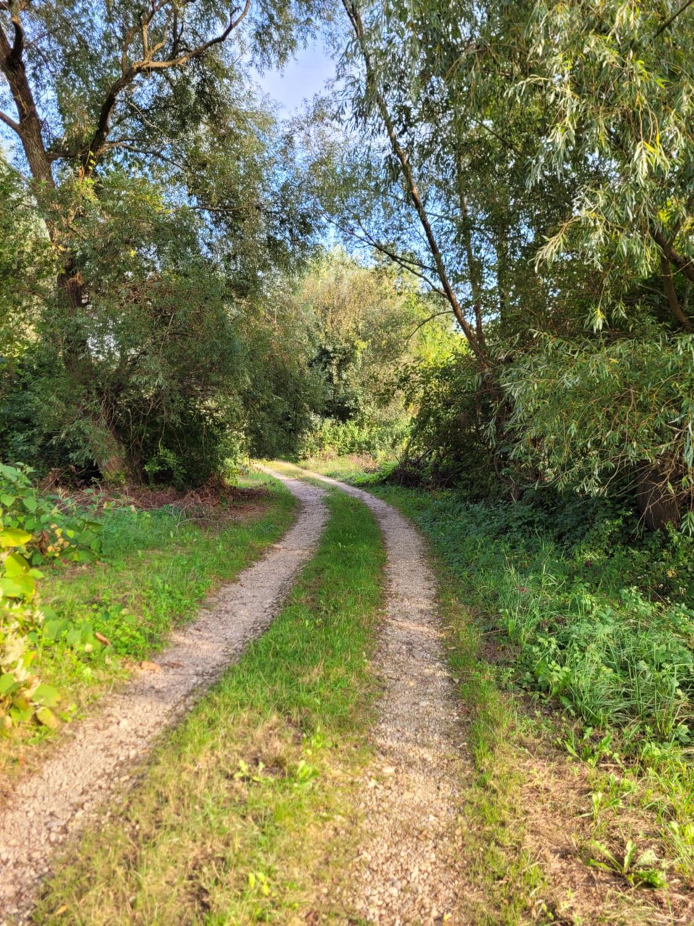 Domek Manipura-ogród,spokój,natura