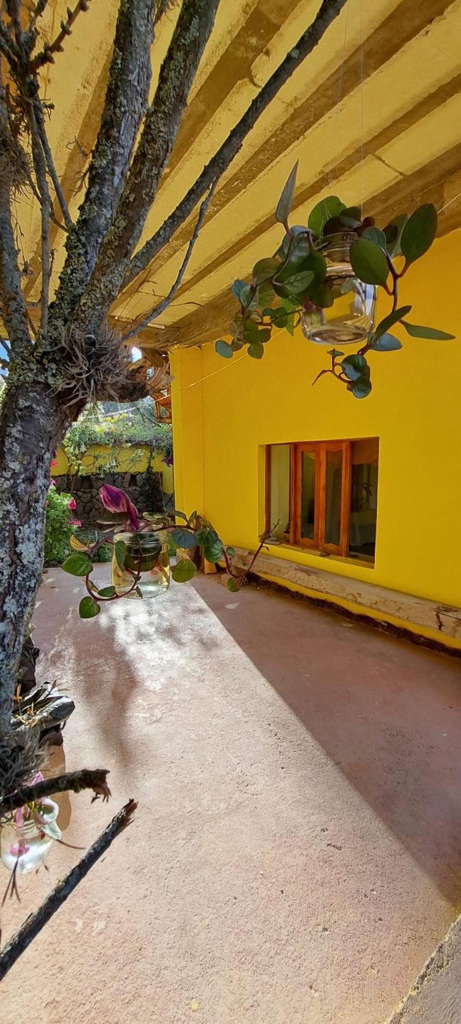 Casa Amarilla view 4