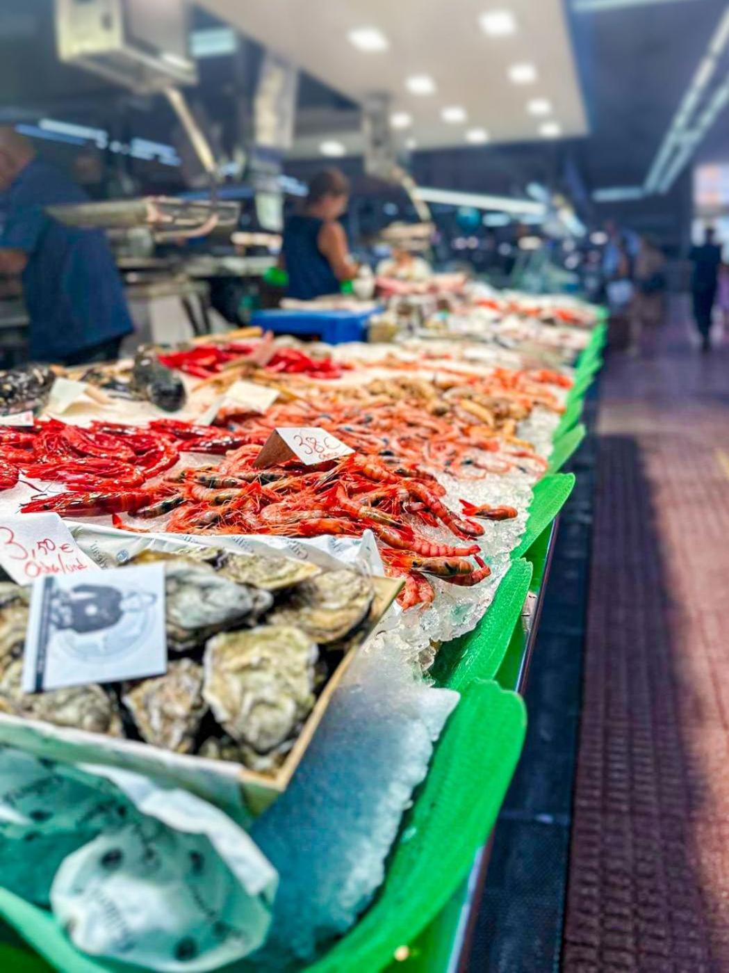 Diyenn Castellón alojamiento y placer