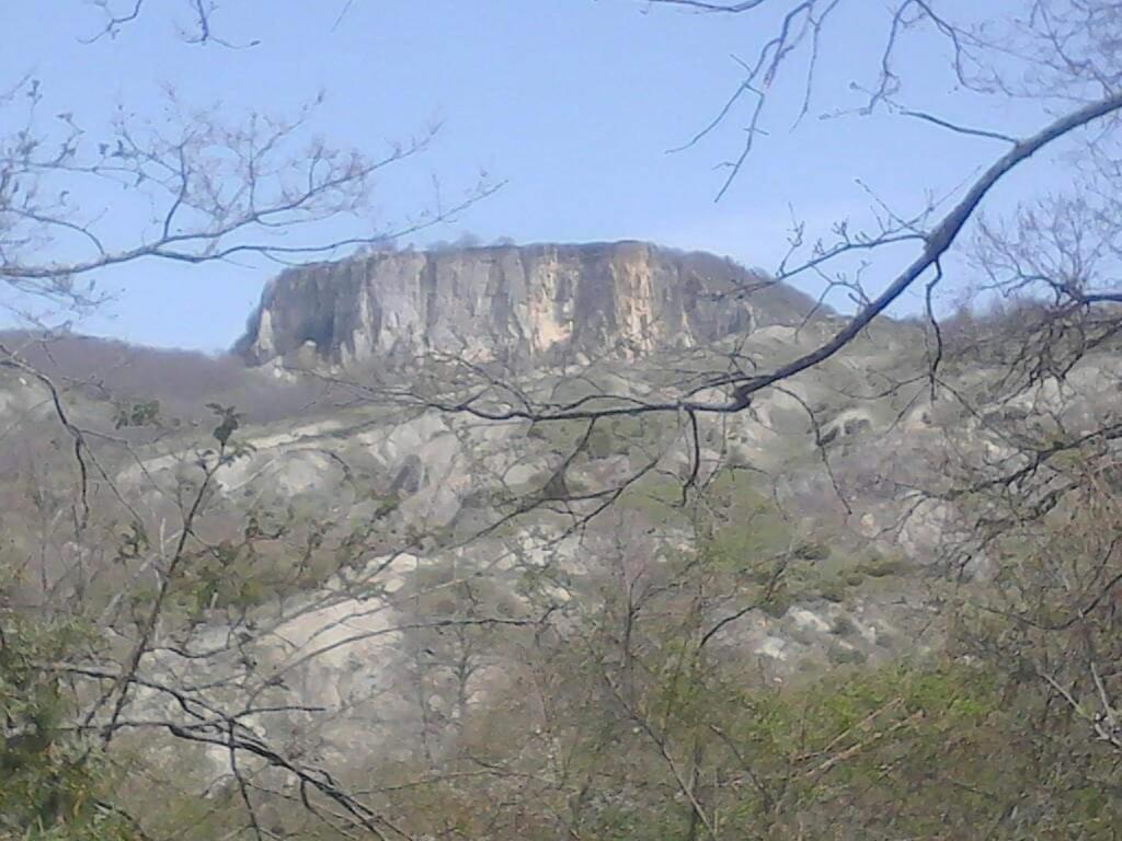 Antiqua